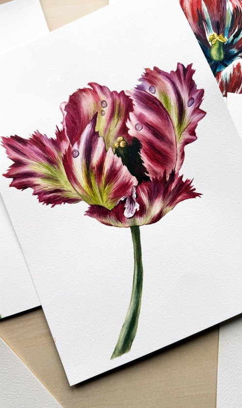 tulips3.jpeg