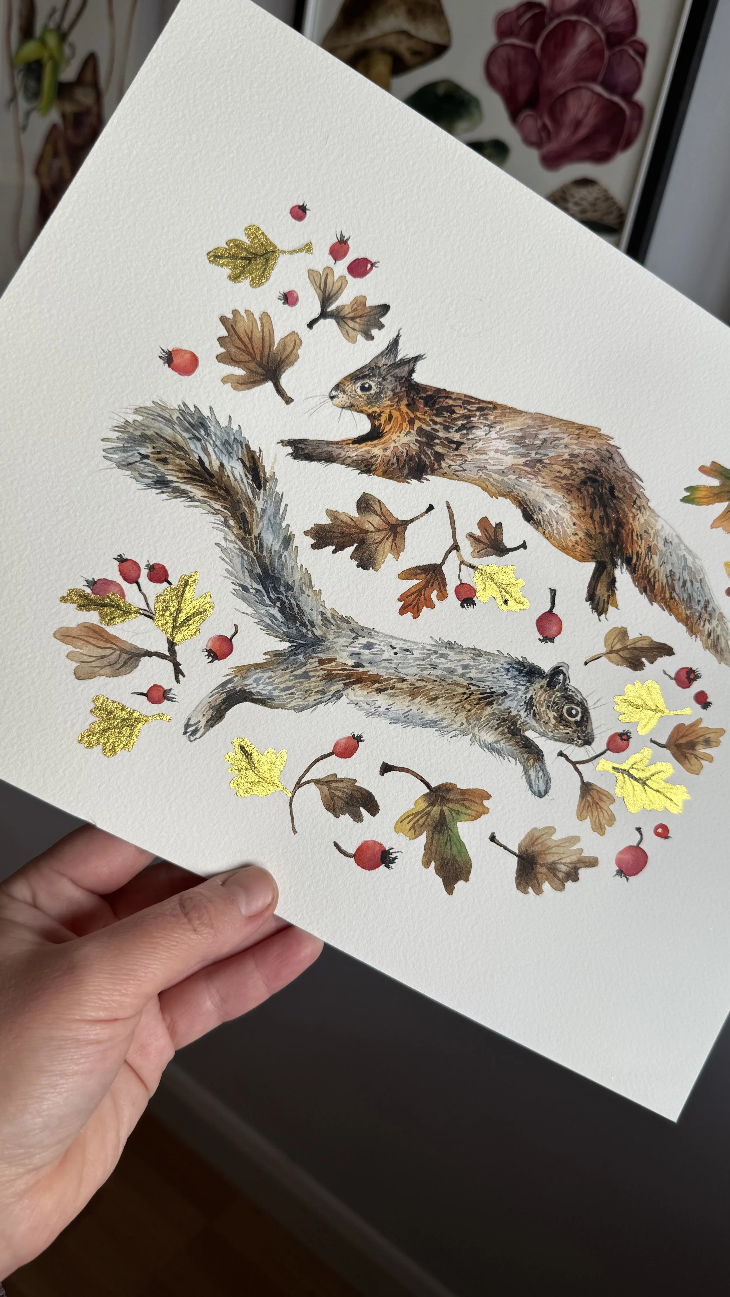 3 ORIGINALS FOR CAROLINA