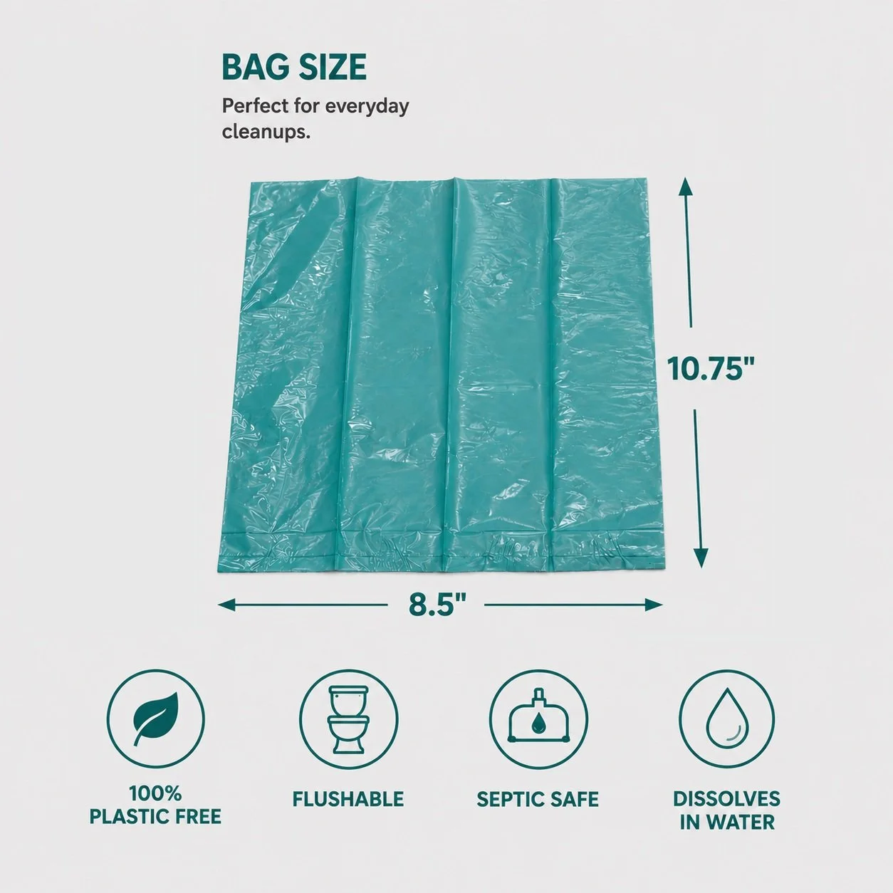 single size.jpg