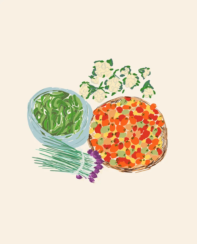 Morning market illustration
