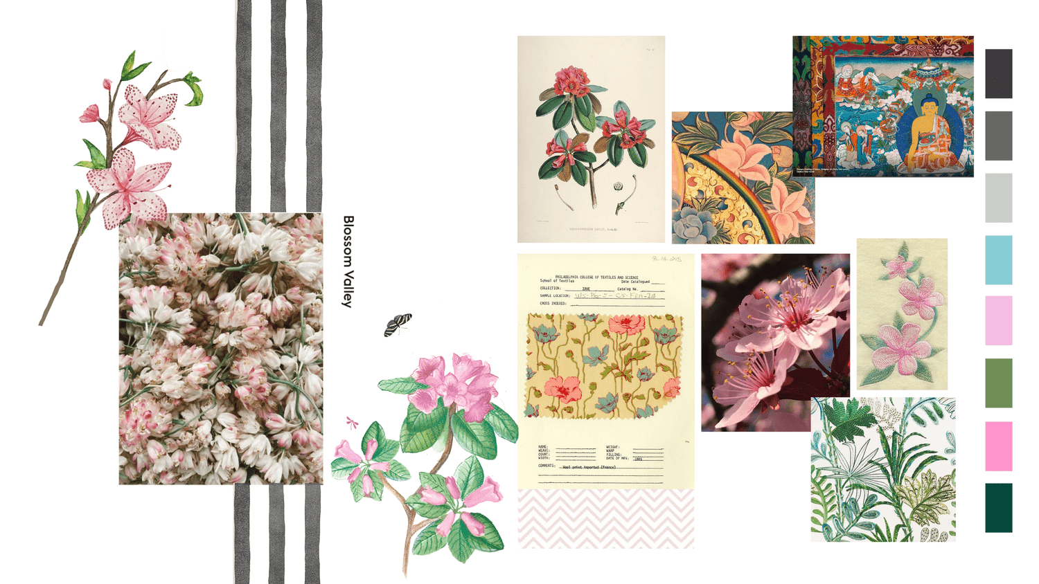 Sakura in Sikkim color and mood study