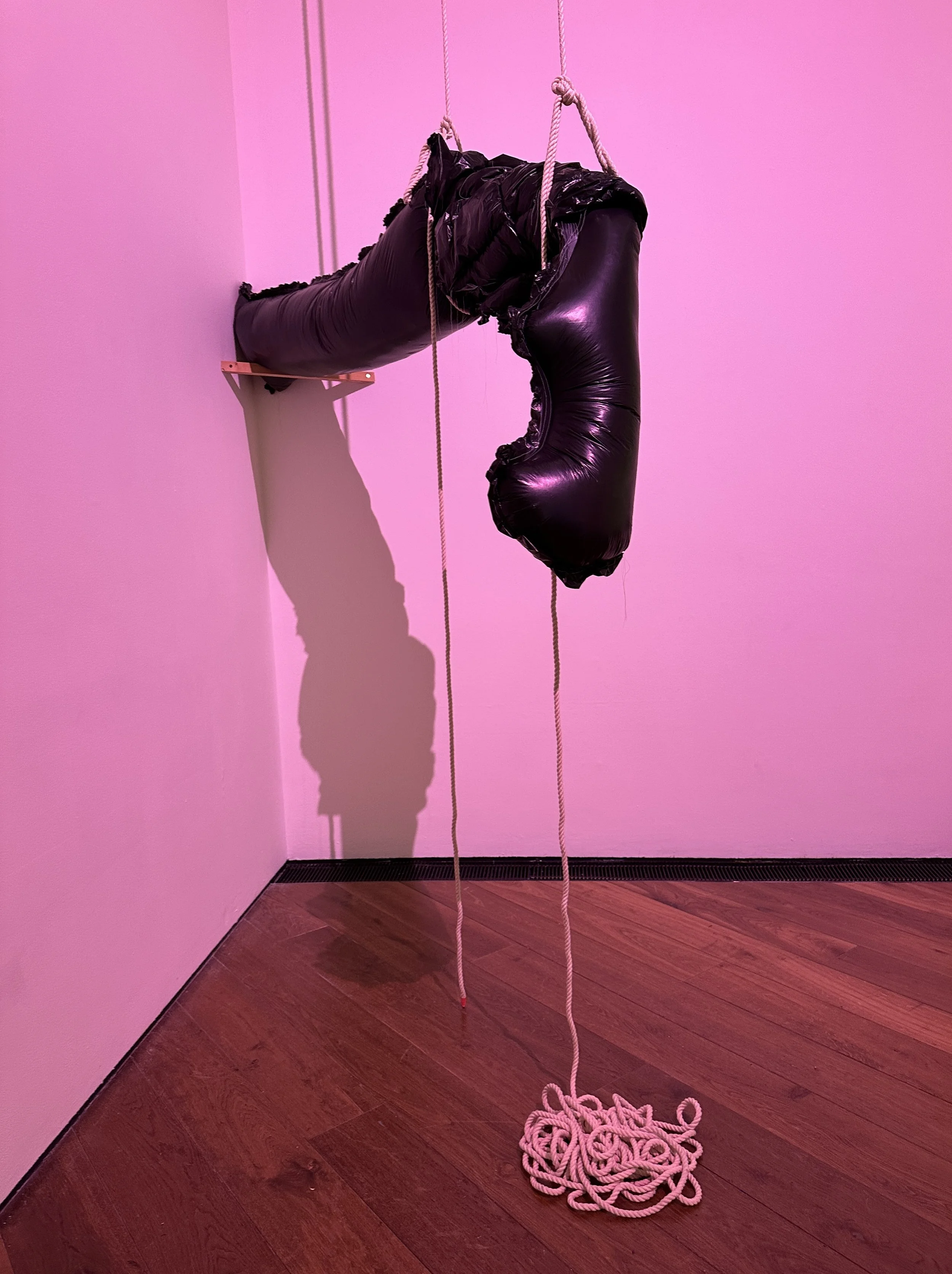 The Glove 2025, Stitched Plastic, Rope & Tape
