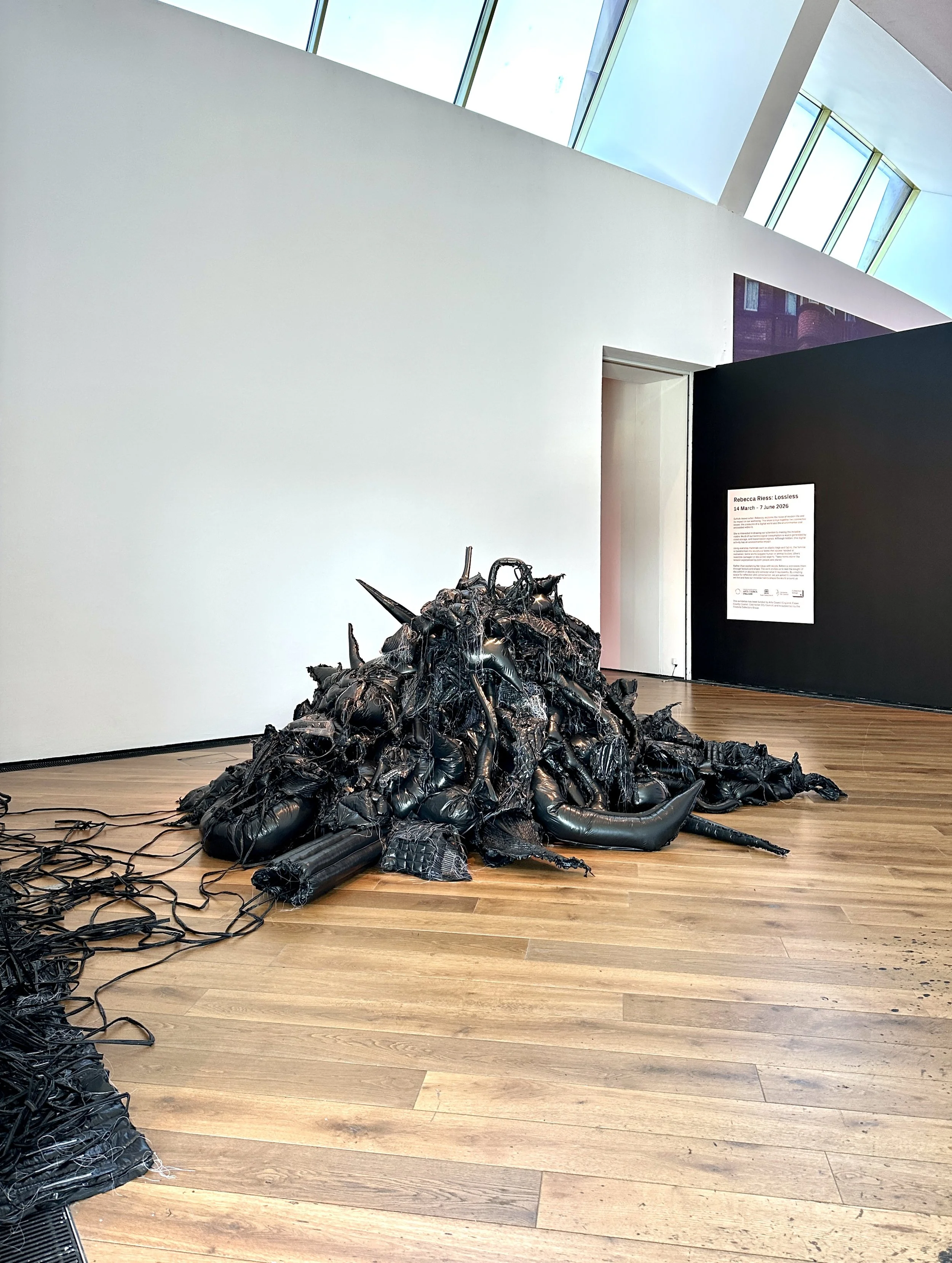 Location: CO1 1JH 
Firstsite, Colchester 2026