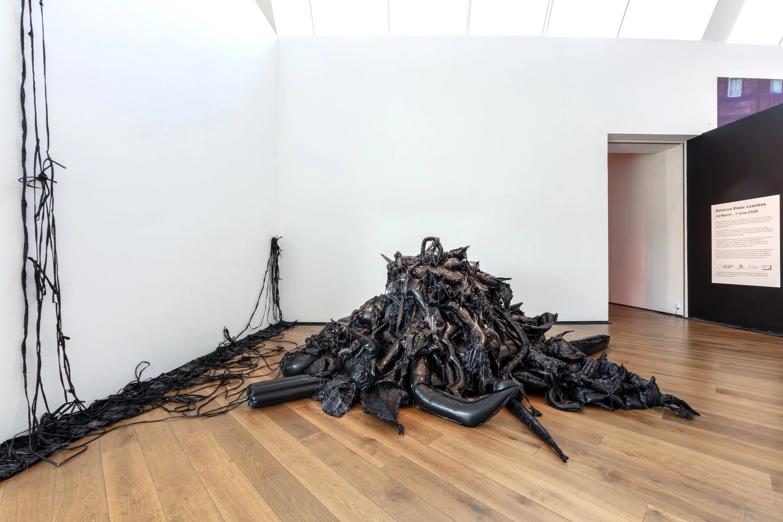 Location: CO1 1JH 
Firstsite, Colchester 2026