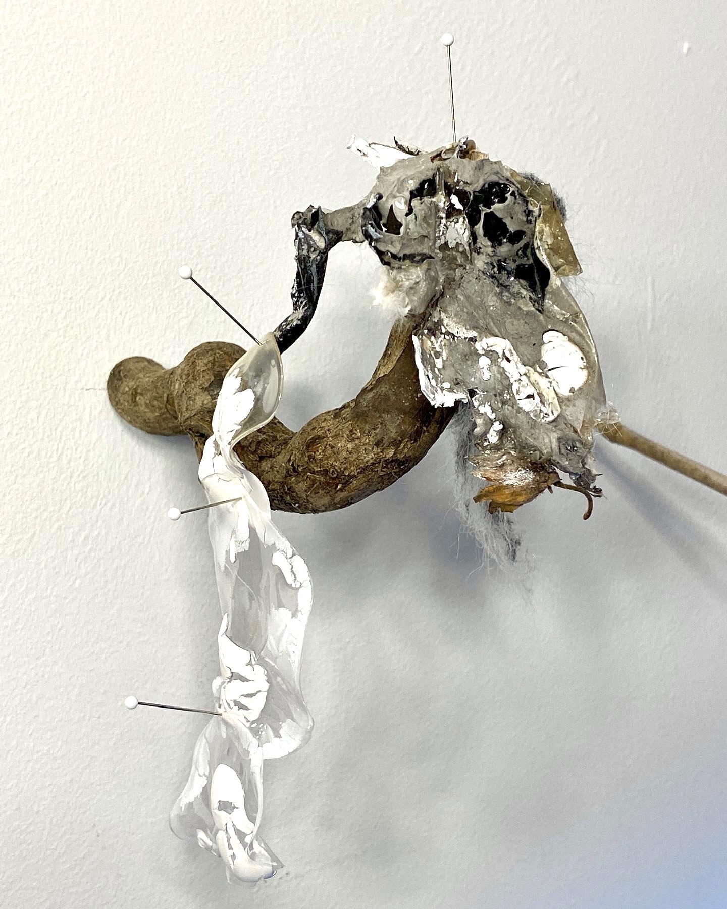 Specimen (Dead Rural) 2022
Man-made Debris, Synthetic Fur, PVA Glue Pinned on Wood