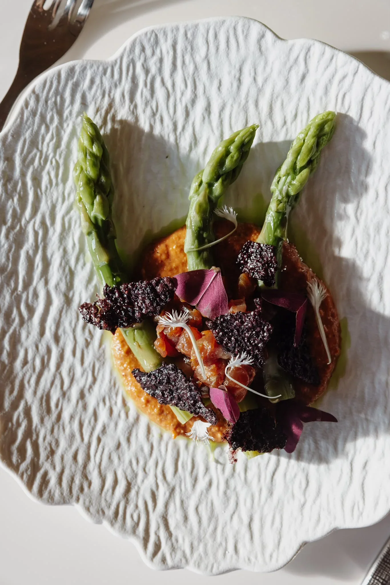 Tartare de truite et asperges nappés de sauce romesco, chef privé mariage Landes Rémi Blanpoil