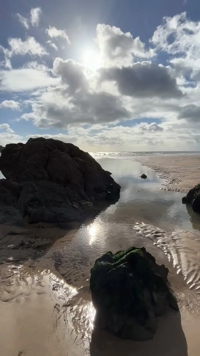 ◈ F A L L  B A C K ◈
As the clocks fall back, time itself seems to exhale.
The light softens, the days narrow, and we turn inward too. 
In Chinese medicine, this is a gathering/introspective time, a return to our essence and core, to stillness, to