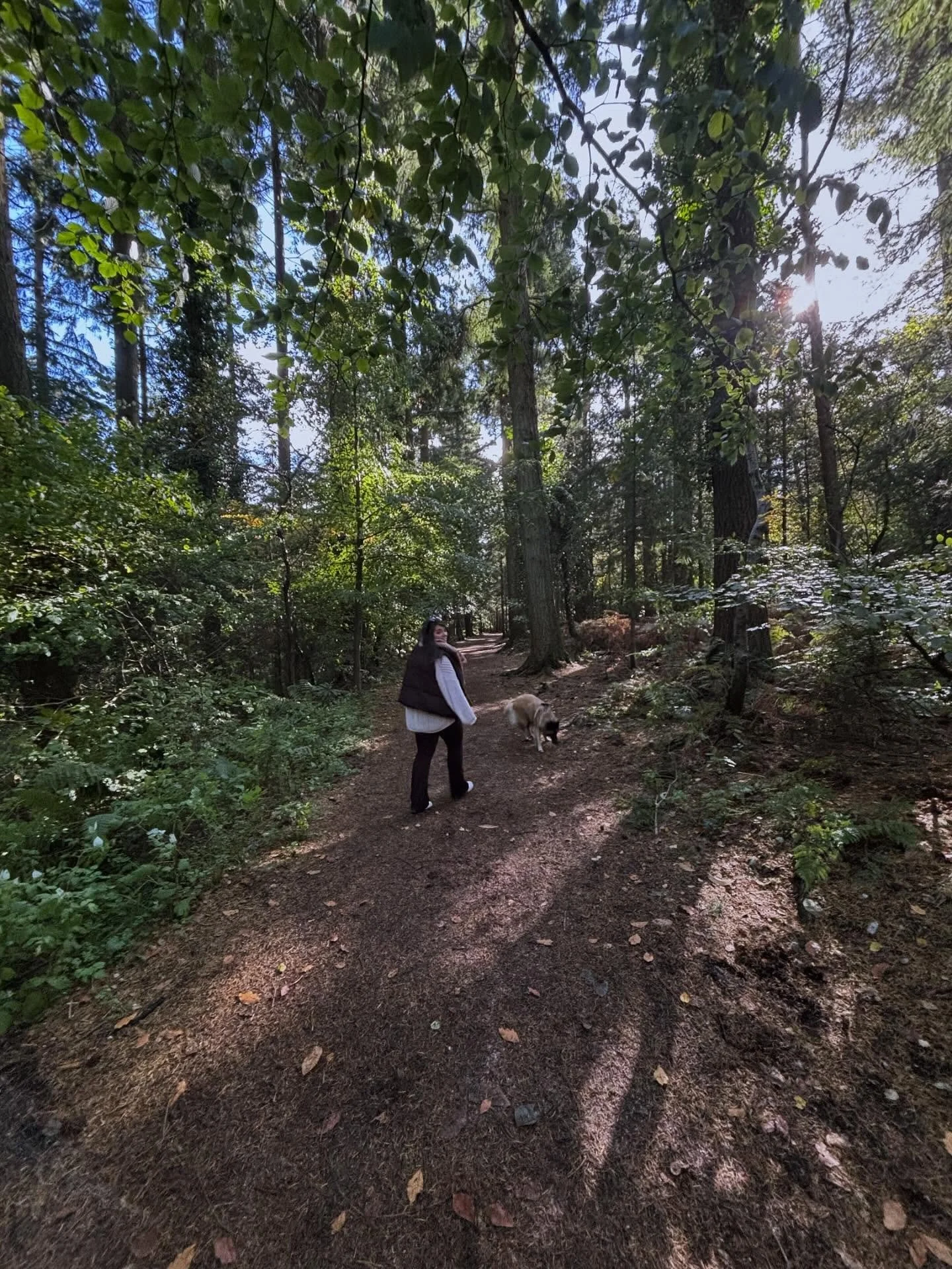 ✶ W O O D  E N E R G Y ✶
The Wood element is the energy of growth, direction, and hope.
It’s the feeling of standing among trees and remembering that life is always reaching upward, even when the path curves or the light fades.
Wood teaches