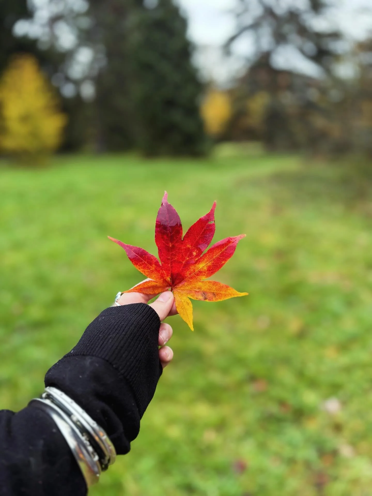 ✦ T H E  I N B E T W E E N ✦

The season shifts, here we are in the space in between, from bright blaze to quiet embers.

I feel it too, this moment between what was and what&rsquo;s about to unfold.

The letting go, the refining, the gathering of ev