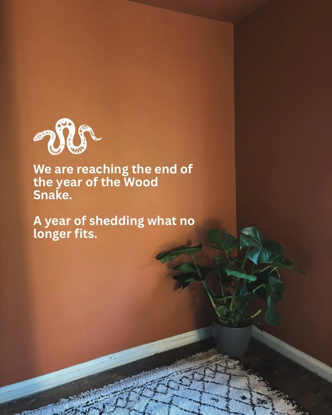 ✶ S N A K E  I N T O  H O R S E ✶

Chinese New Year is Saturday 7th of February 💫 but it&rsquo;s impossible not to start to think about endings at the end of the calendar year. 

The year of the Wood Snake is coming to a close, snakes ask us to shed