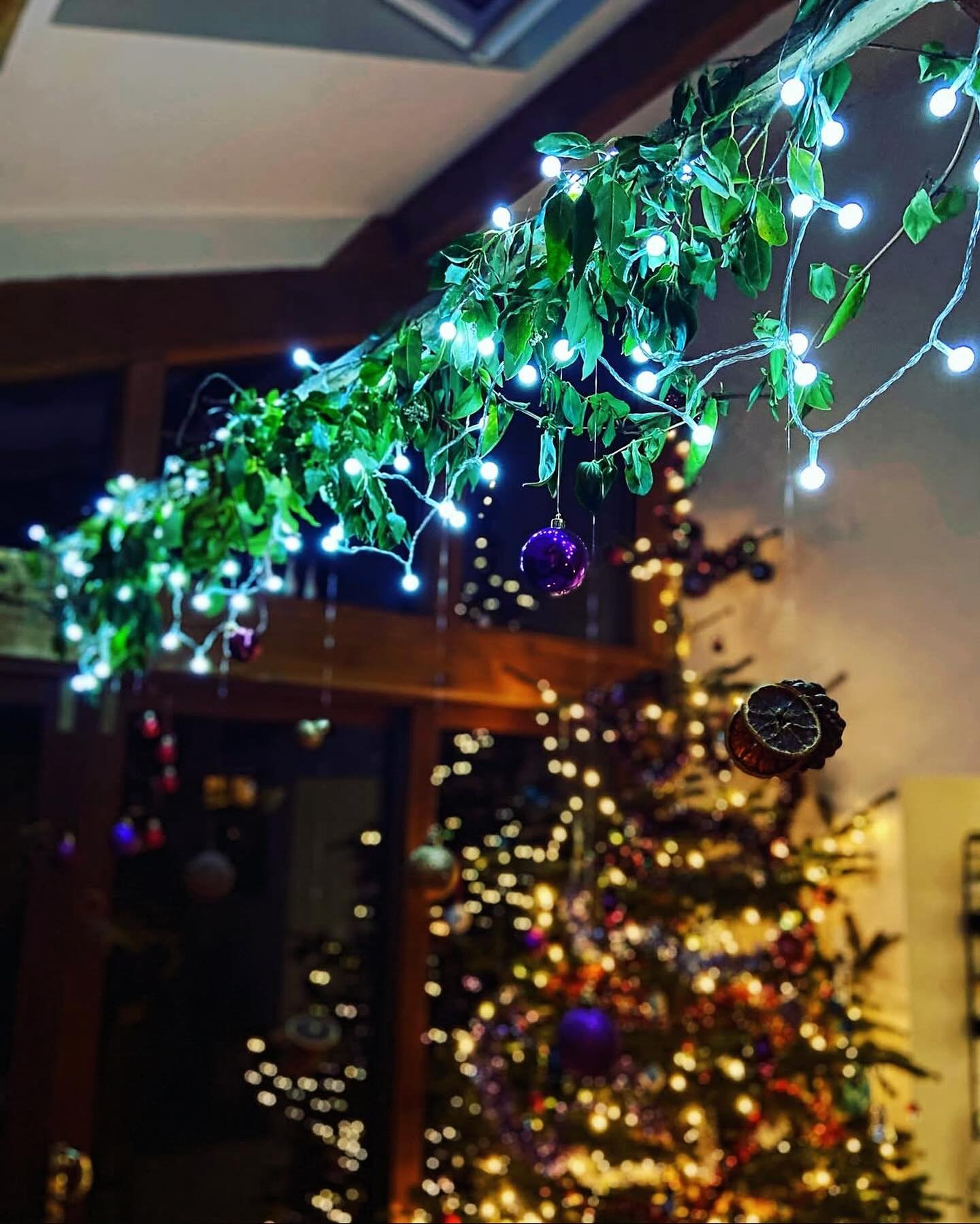 ✩ B E T W E E N  S E A S O N S ✩

There&rsquo;s a particular glow to this moment of the year don&rsquo;t you think?? It&rsquo;s not quite winter, not quite the fullness of the festive rush. In Chinese medicine, we&rsquo;re in that final whisper of Me