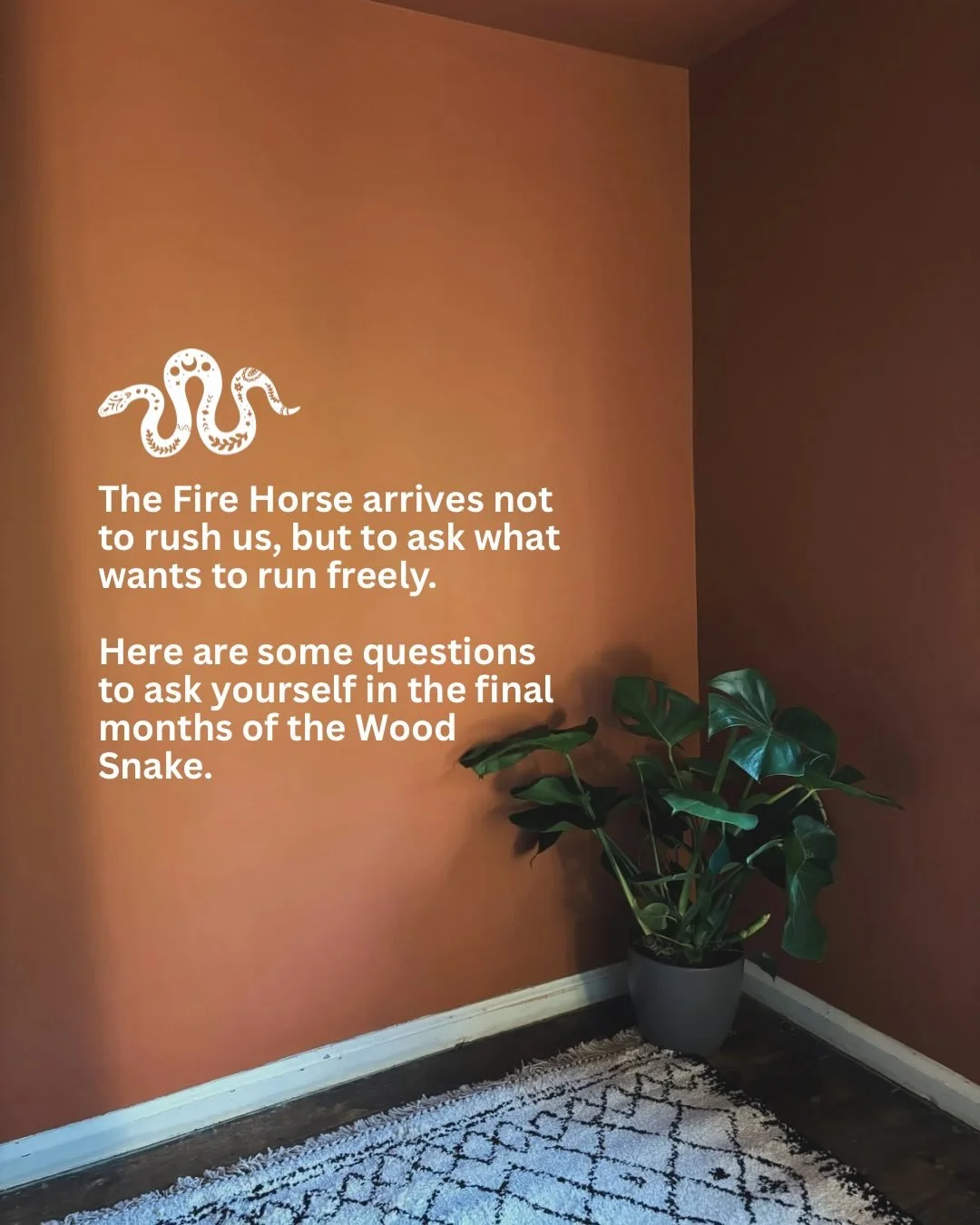 ✶ S N A K E  I N T O  H O R S E ✶

Hold your horses! - it&rsquo;s not the new year quite yet&hellip; The year of the Fire Horse arrives in February.

This is a threshold moment, the calendar year has shifted forward but we remain in the final moments