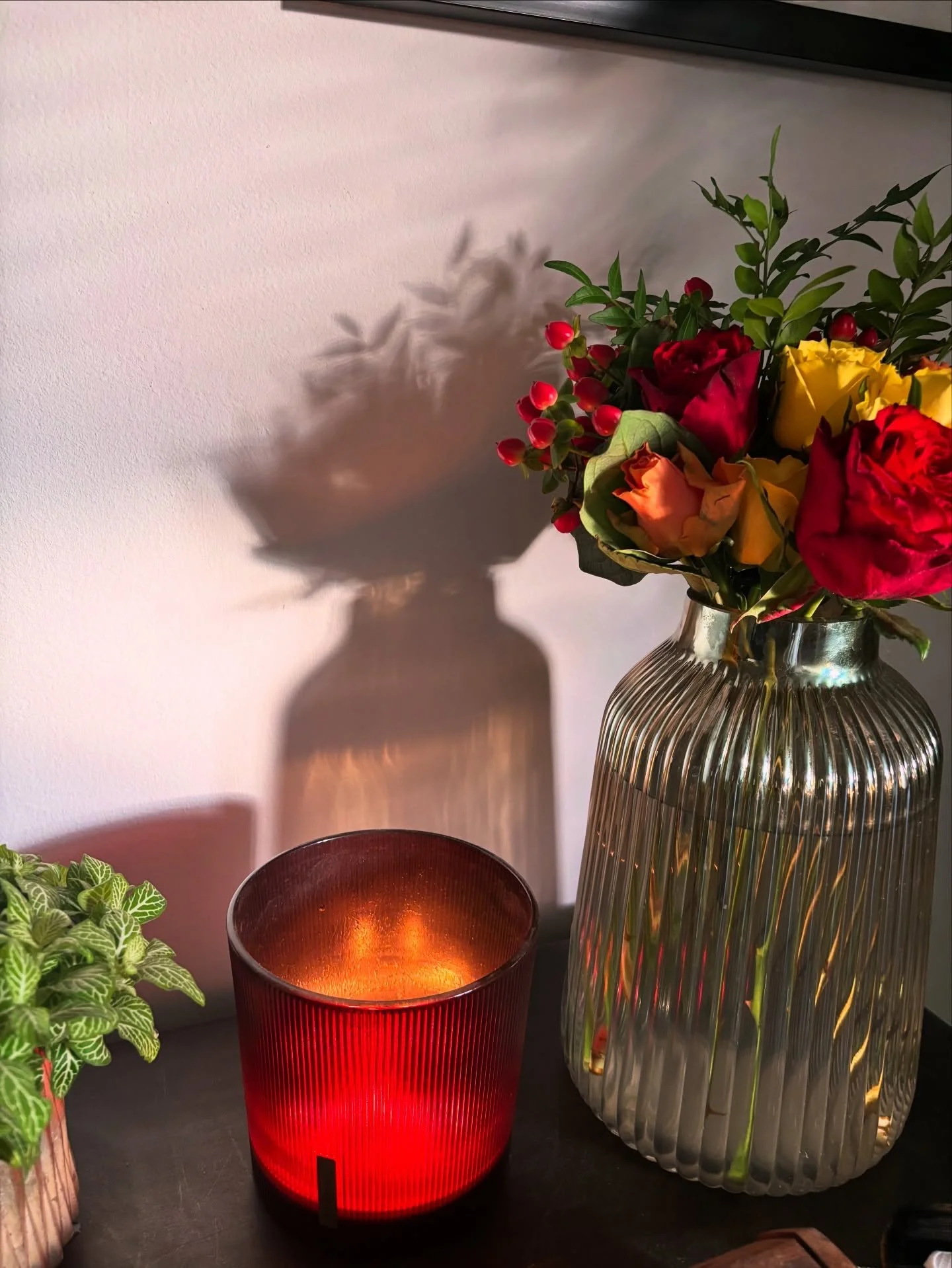 &bull; E N V I N R O N M E N T &bull;

In Chinese medicine, healing doesn&rsquo;t only come from needles, herbs or from inside the treatment room.

Our surroundings directly affect the Heart and Shen, the part of us responsible for emotional balance,