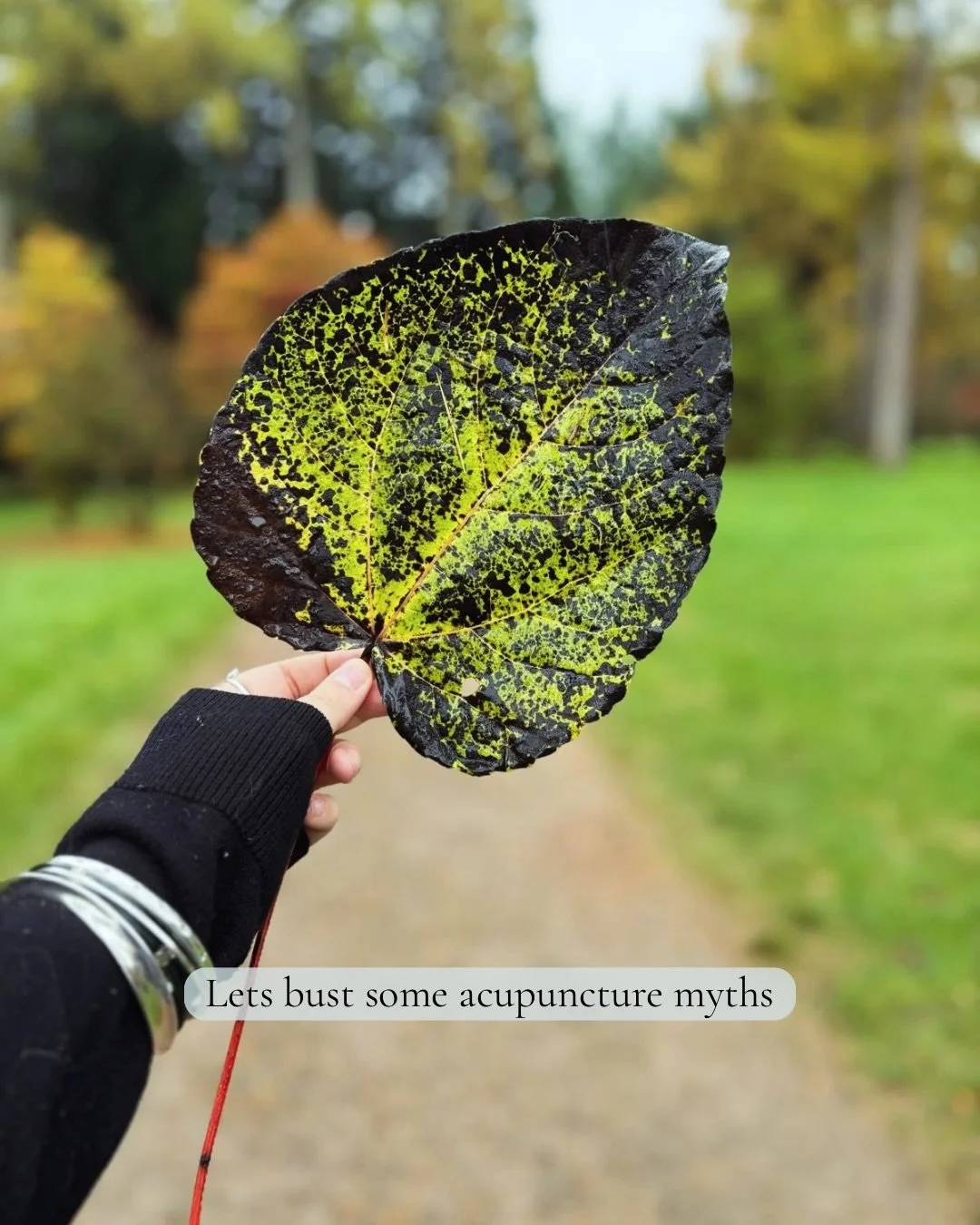 &bull; M Y T H  B U S T I N G &bull;

So many myths about acupuncture&hellip; that it&rsquo;s only for pain, that it has to hurt, or that it&rsquo;s just about symptoms.

Chinese medicine sees the bigger picture. Your body, energy, emotions, and habi