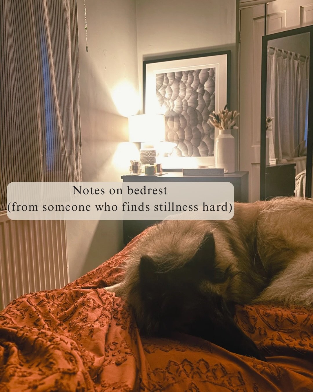 ✶ W U W E I 無 為 ✶

Bedrest has a way of forcing stillness (literally..) and the fact a Fire CF having Pericarditis is a little bit funny is not lost on me 😂 

Maybe this inflammation isn&rsquo;t just asking for medication and rest. Maybe it&rsquo;s 