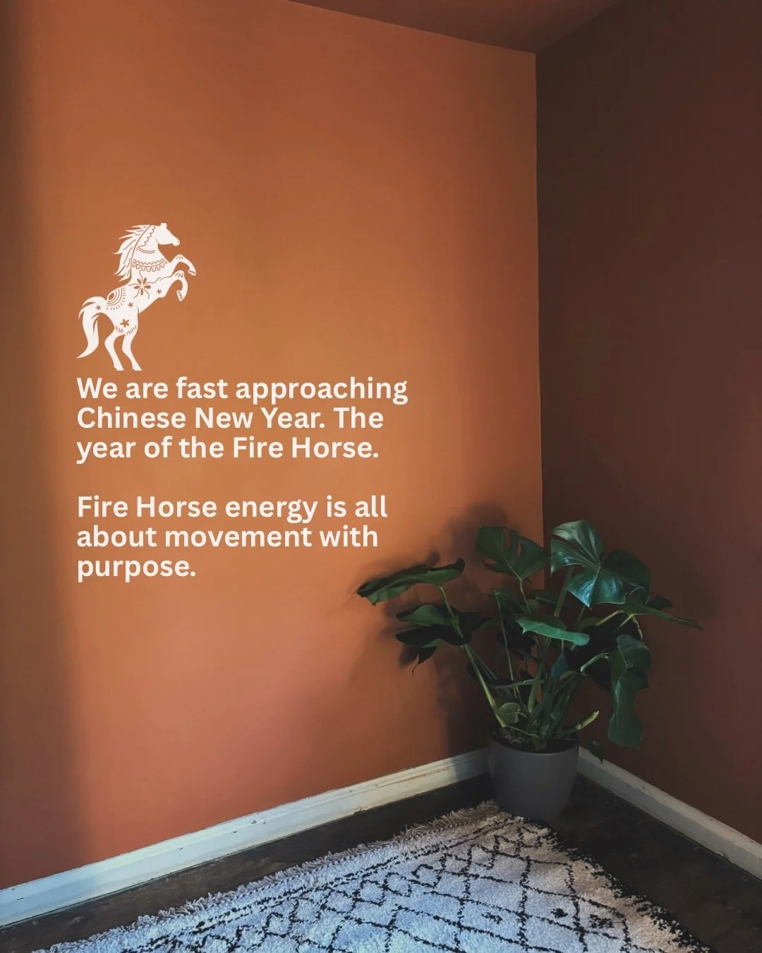 ✧ F I R E  H O R S E ✧

Tuesday 17th of February is Lunar New Year. We have just one week left in the quiet and the shedding of the tail end of the Wood Snake. 

Buckle up baby, the Fire Horse often arrives with a bang and he&rsquo;s going to take us