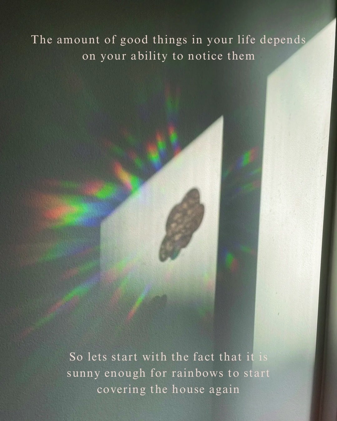 ✶ N O T I C I N G ✶

I saw a quote recently that said &ldquo;the amount of good things in your life depends o your ability to notice them/&ldquo; 

I enjoyed doing a post like this so much last time, I thought I&rsquo;d do it again, it can really hel