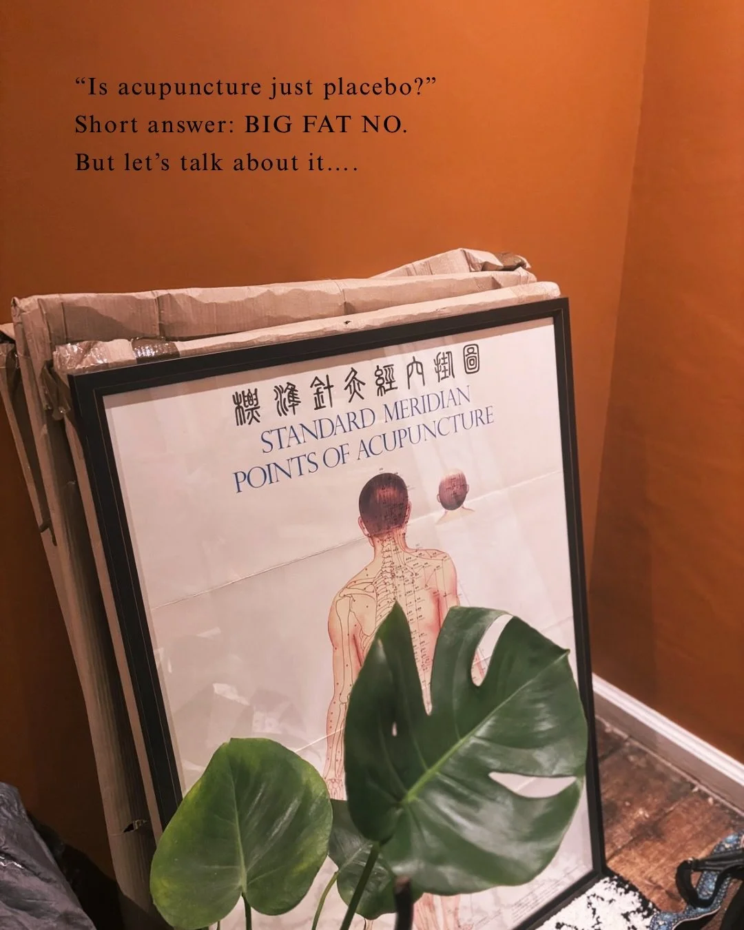 ✦ P L A C E B O ? ✦

This is a question every acupuncturist hears at some point.
And it&rsquo;s not unreasonable. When something sits outside the medical model people are used to, curiosity  and scepticism are natural.

But placebo is often misunders