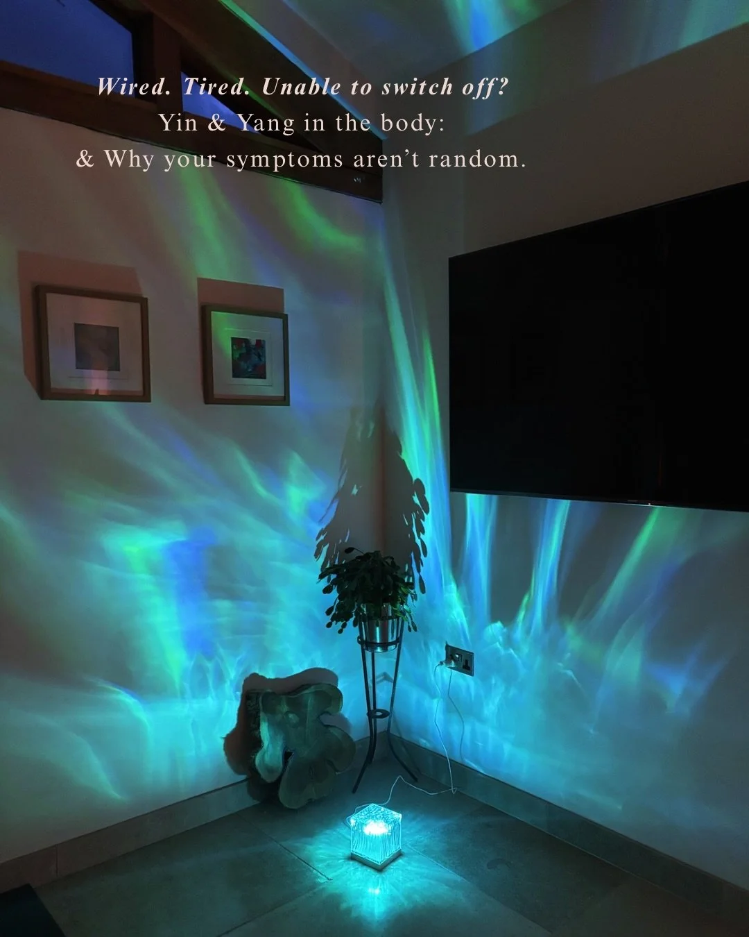 &bull; Y I N &amp; Y A N G &bull;

Your body isn&rsquo;t broken, it&rsquo;s trying to protect you with limited resources. Healing often begins not by calming the fire but by restoring the water that keeps it steady.

Anxiety isn&rsquo;t chaos.
It&rsq