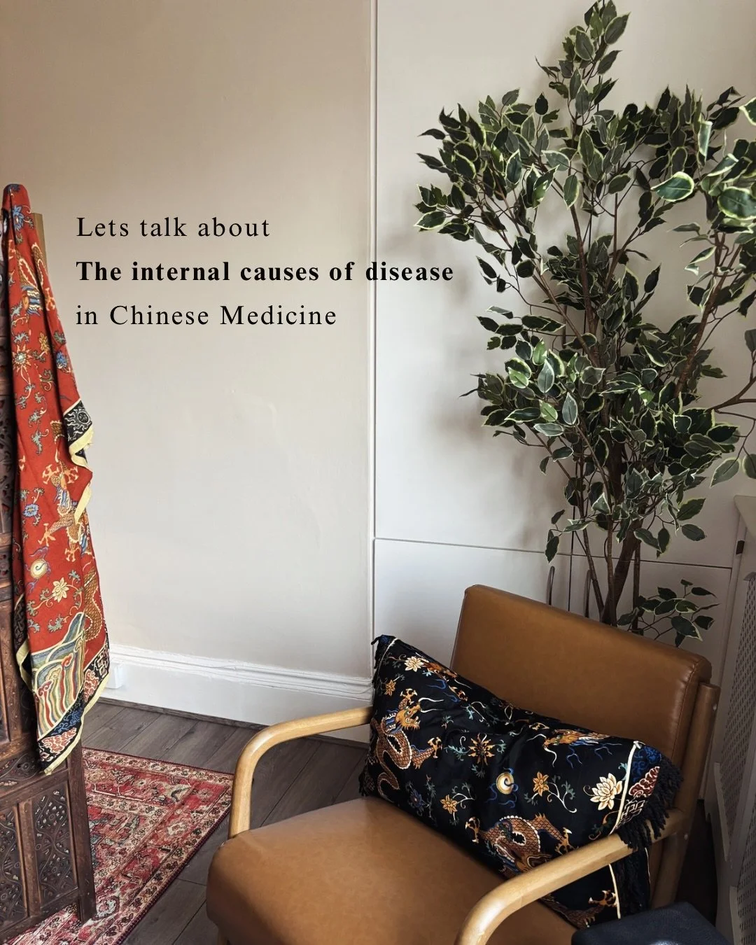 ✧ W I T H I N ✧

Not everything that makes us unwell comes from the outside.
In Chinese medicine, the internal landscape matters just as much.

Our emotions move Qi. They shape how we feel, how we function, how we hold ourselves in the world.

Anger 