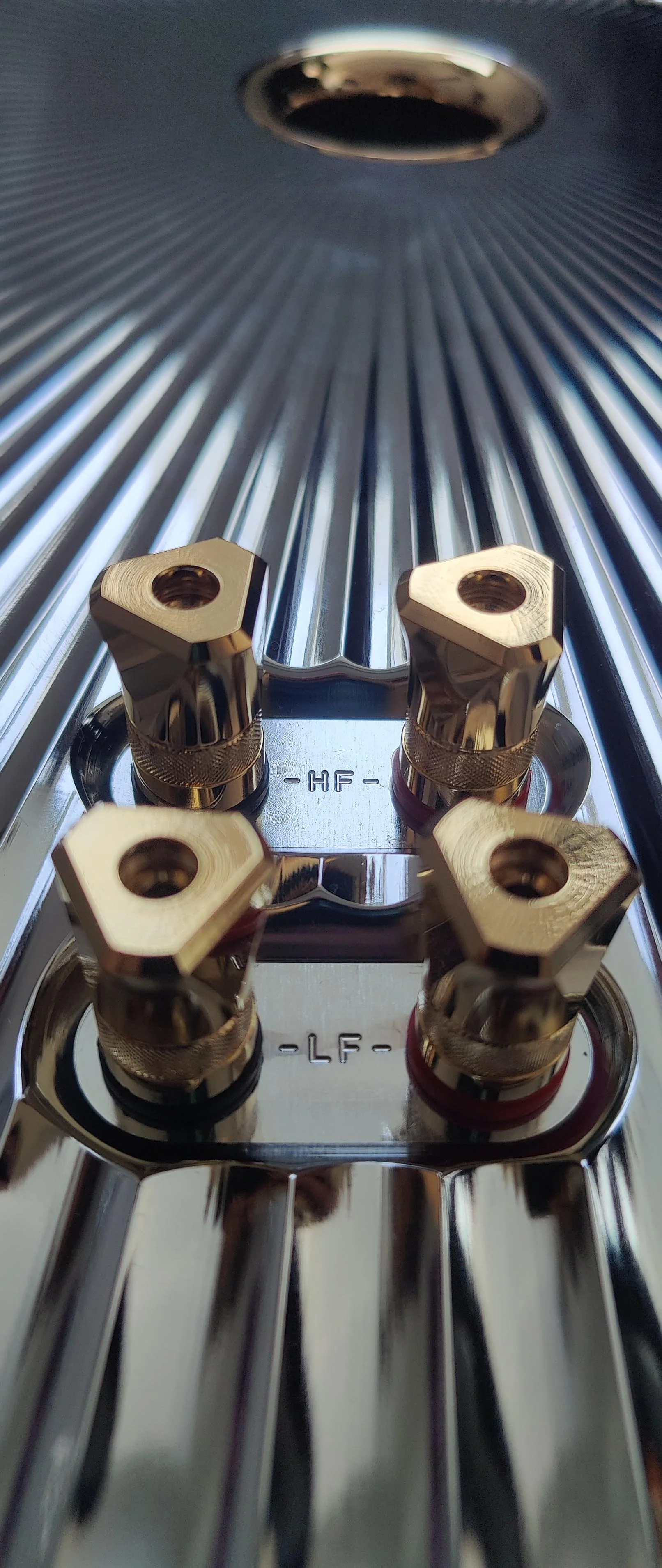 Close-up of Gold speaker terminals mounted on a shiny metal surface with textured surface.