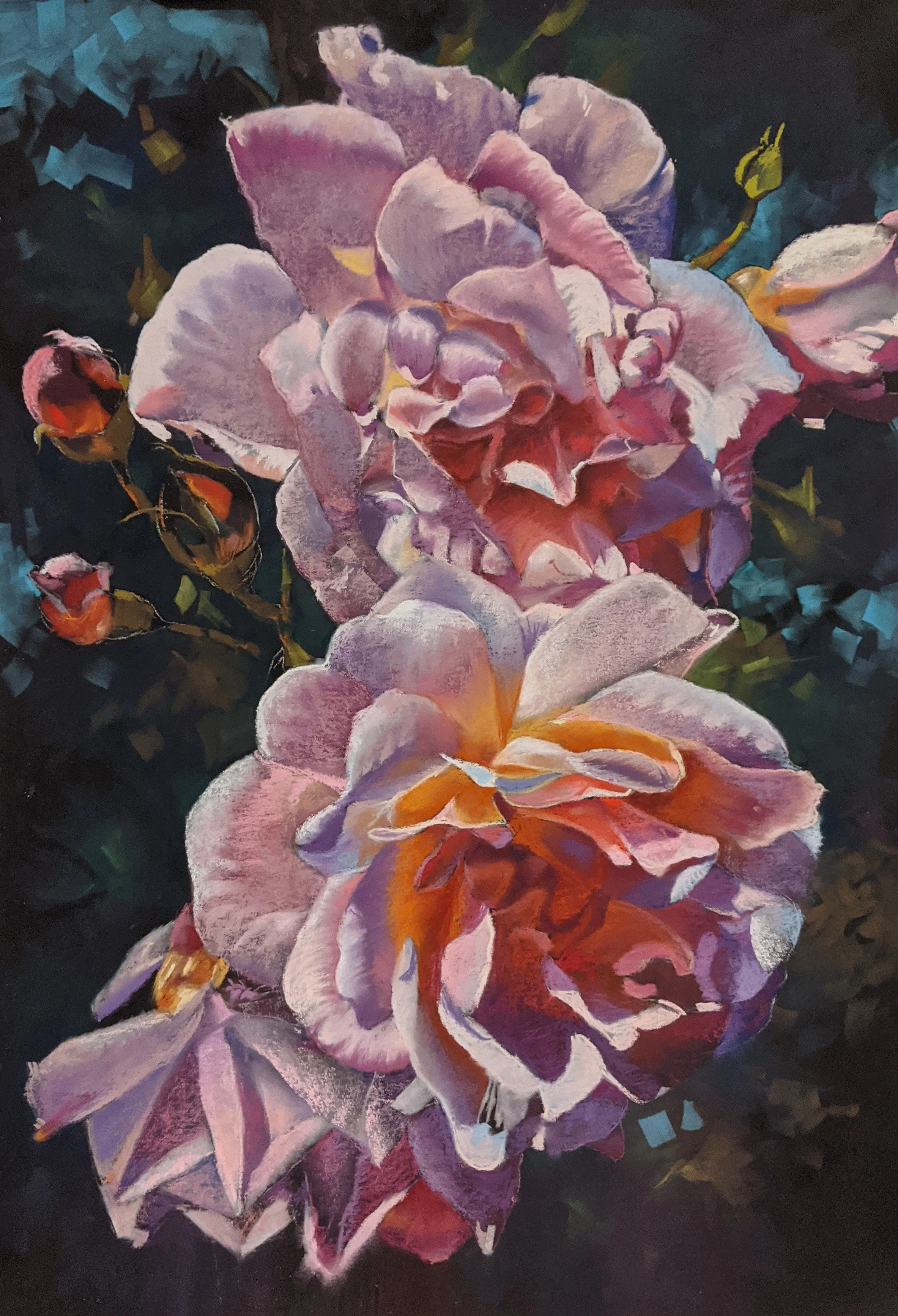 Sunlight lights up the petals of a peach pink rose in this pastel painting by Tiffany Forster Art (Copy)
