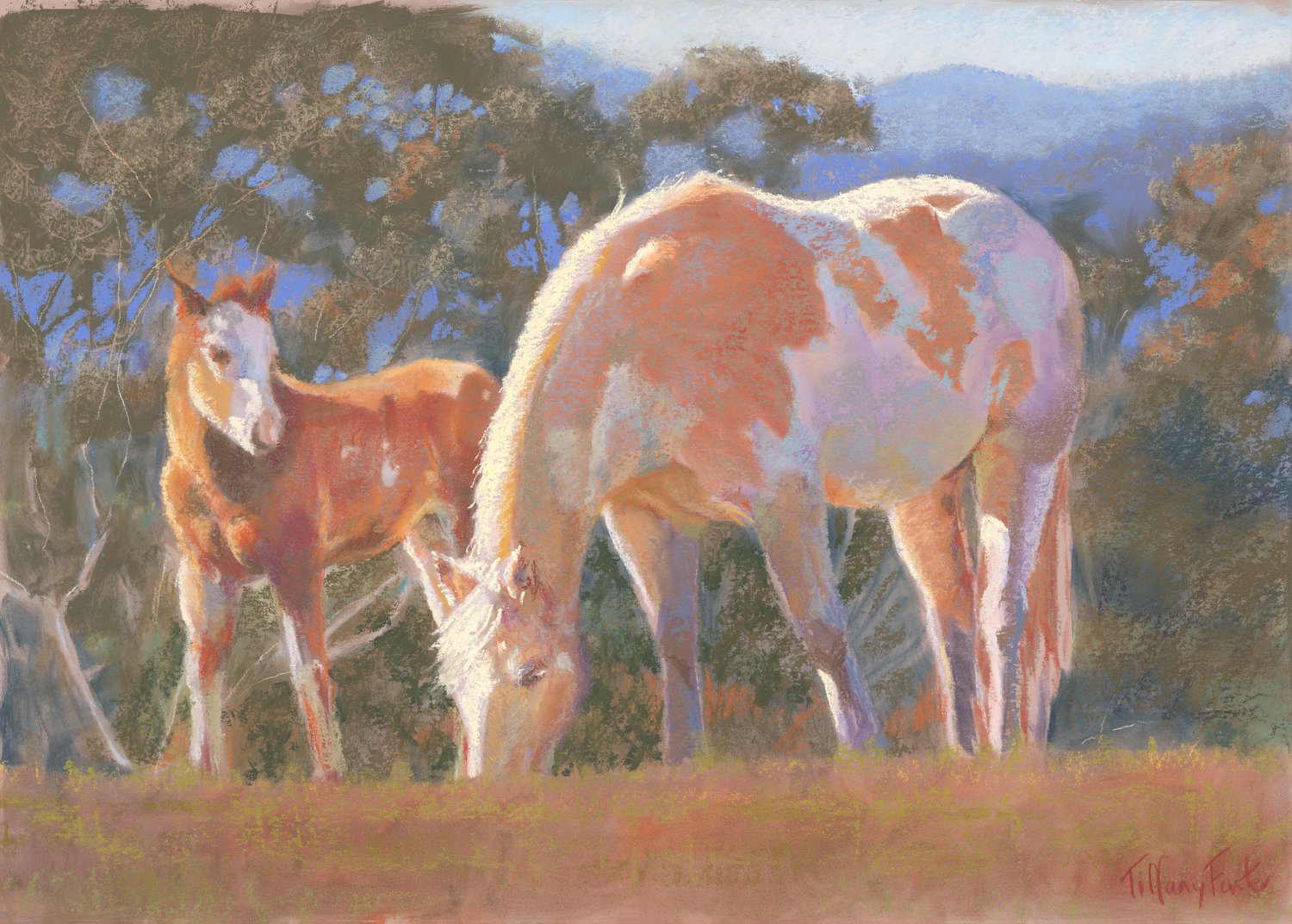 Winter Sun Tiffany Forster.jpg