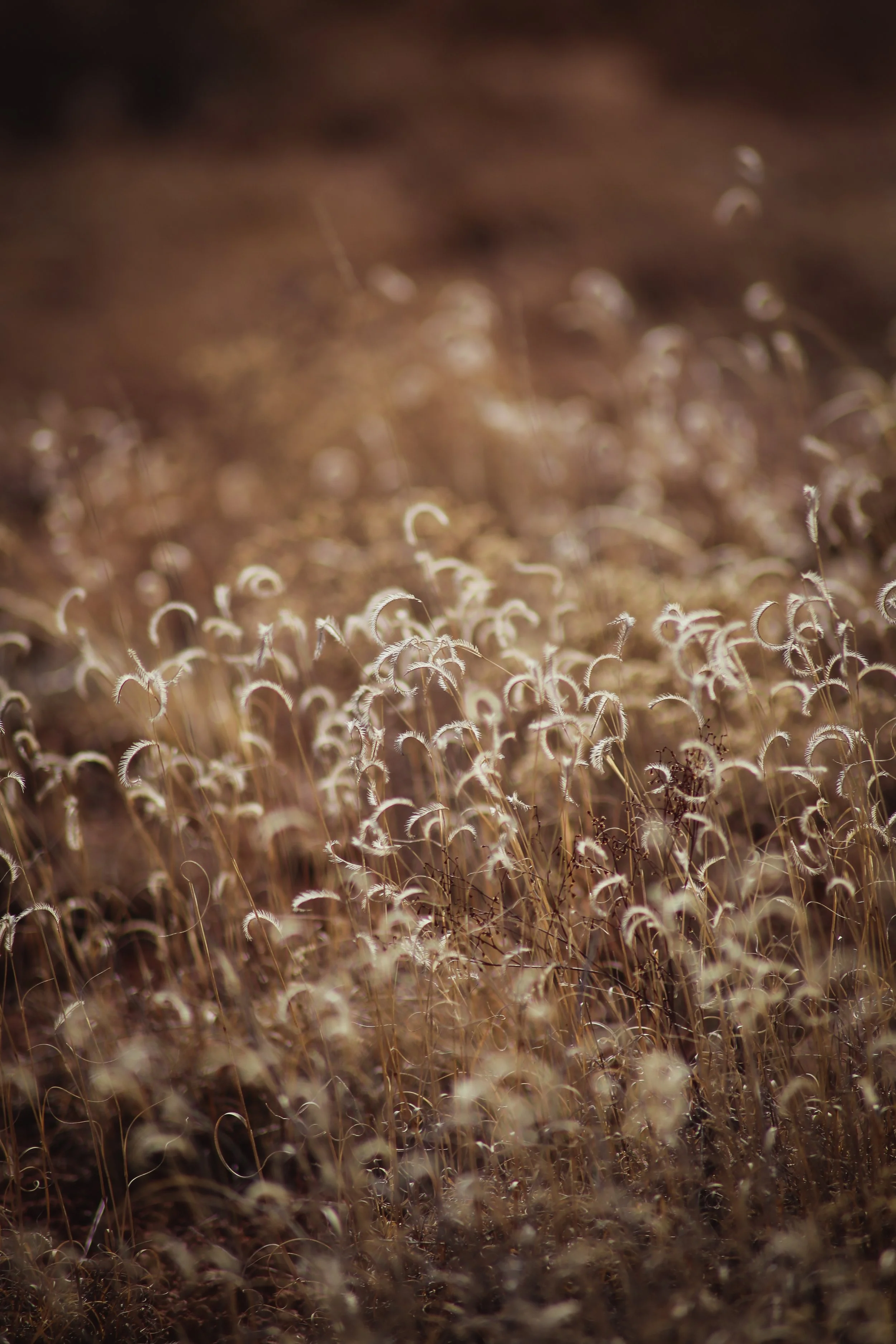 untitled-102.jpg