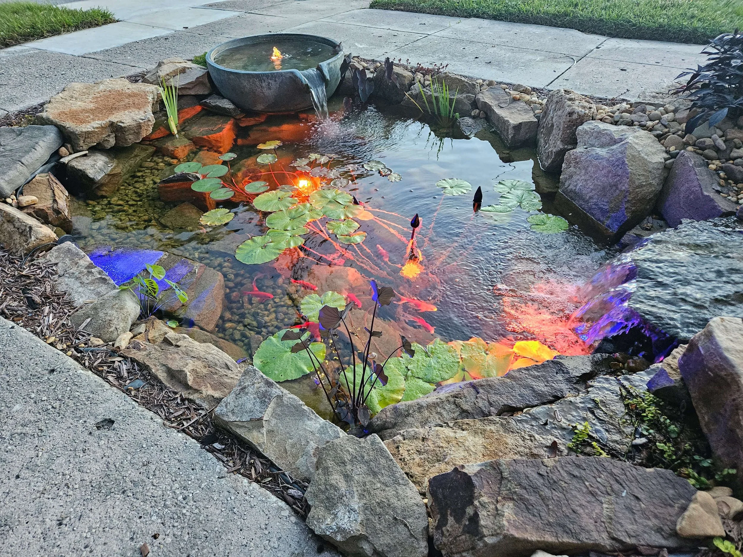 3 Reasons for Pond Treatment and Why Pond Water Turns Green CONLEY PONDS