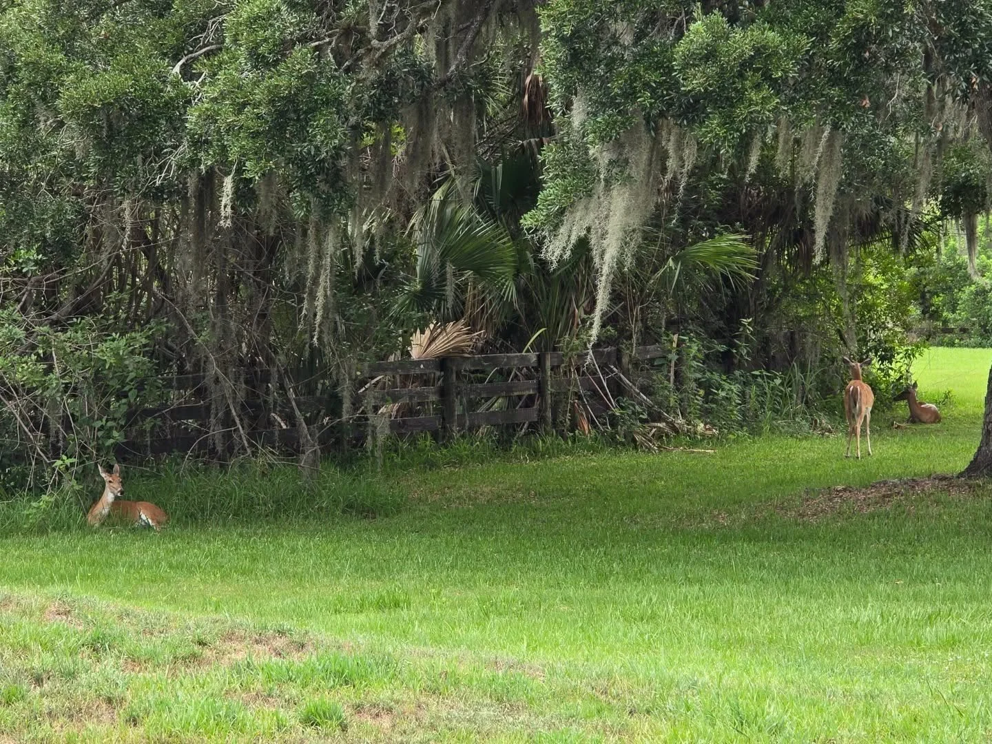 Don't get to see this very often on the job site. #conleyponds #nature #beautiful