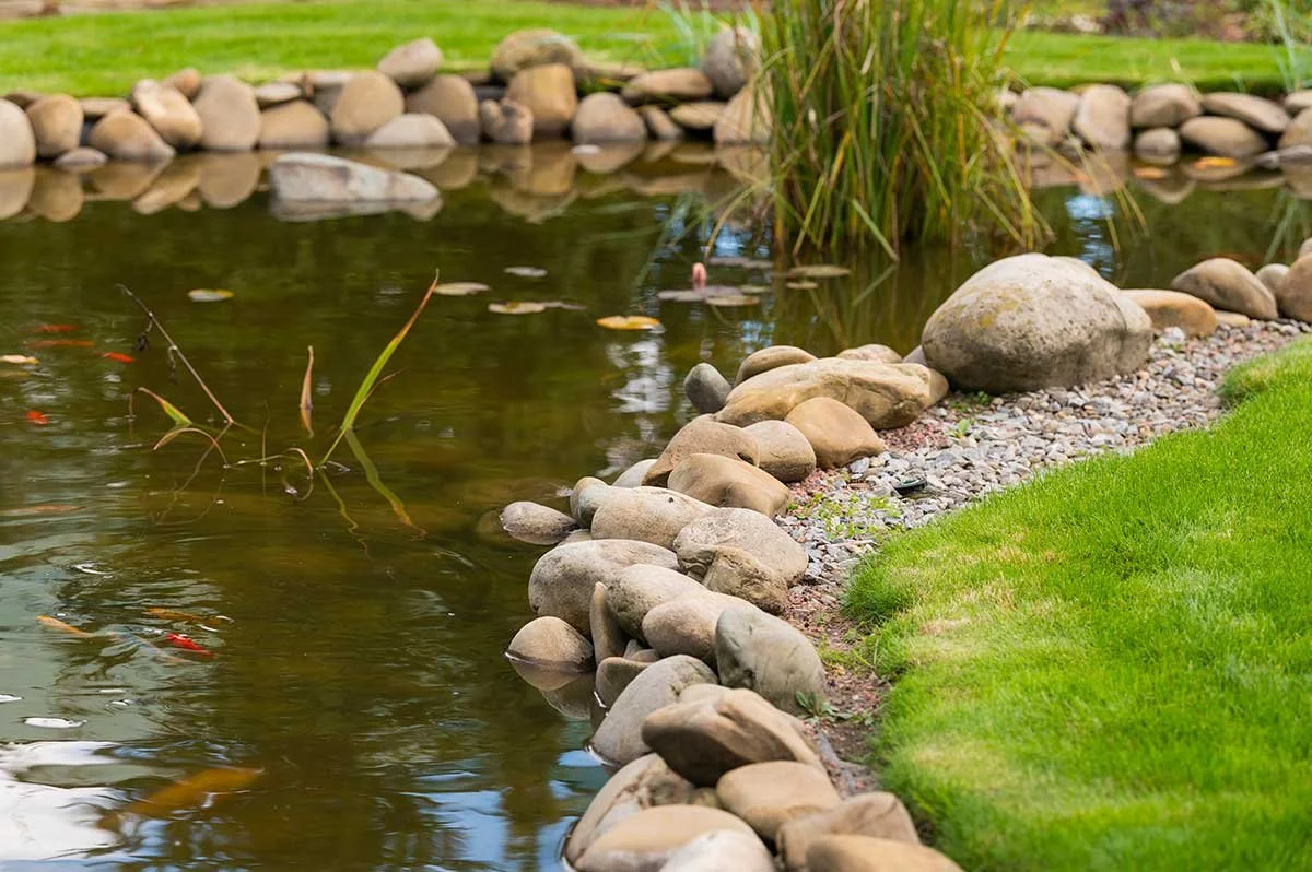 Post-Installation Care for Your Outdoor Water Features