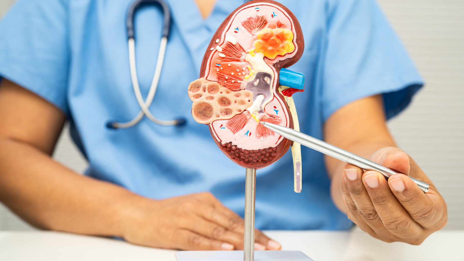 LASP1 mediates ADAM17 upregulation in high glucose to promote fibrosis in diabetic kidneys