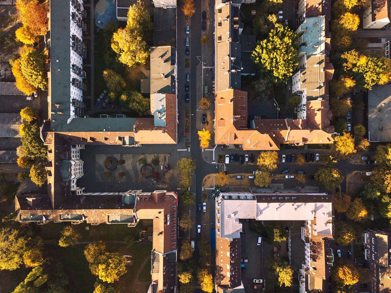 20181015-DJI_0108.jpeg