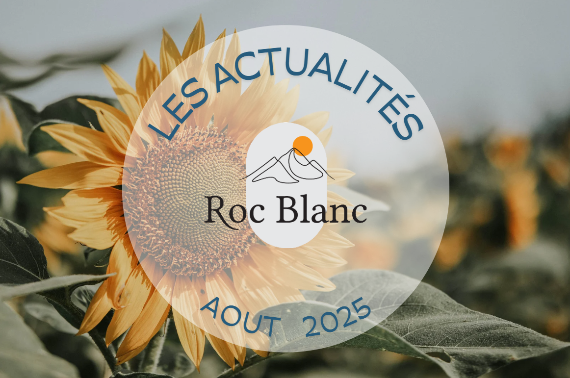 Les actualités - Aout 2025