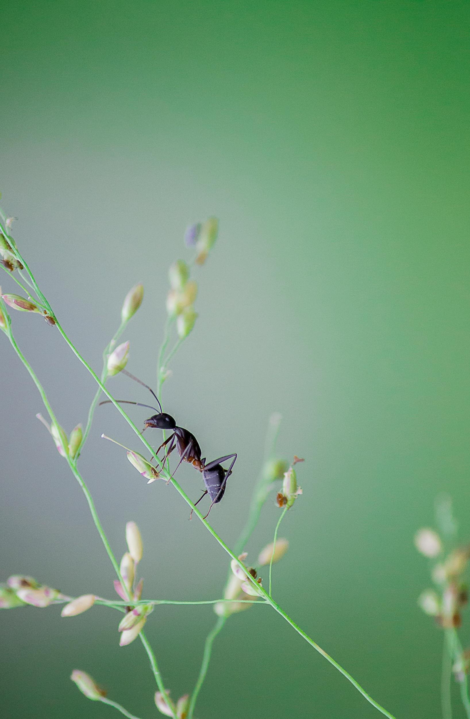 L'avance sur assurance-vie : principes et bonnes pratiques