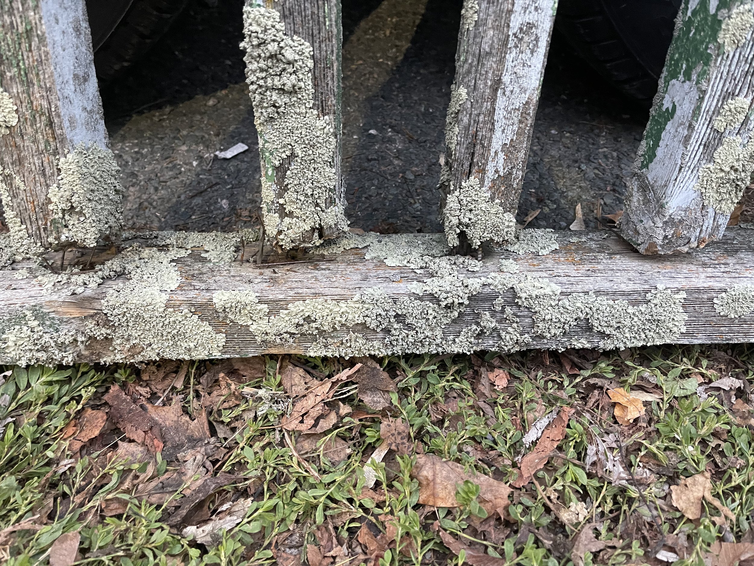 IMG_1694.jpeg