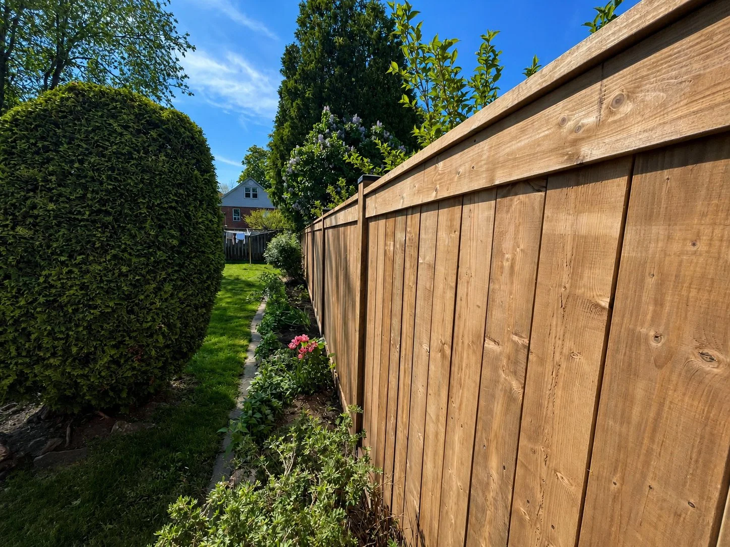 wood-fence-hamilton