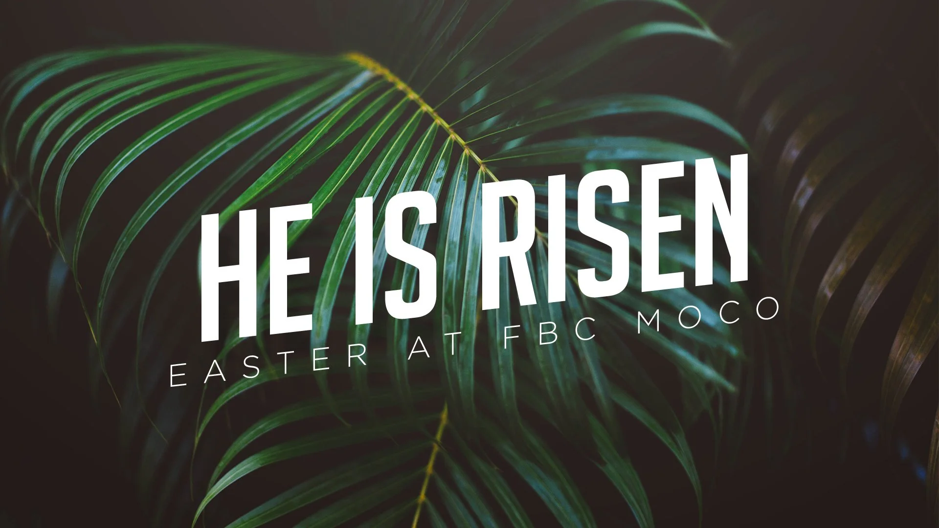 The Importance of the Resurrection