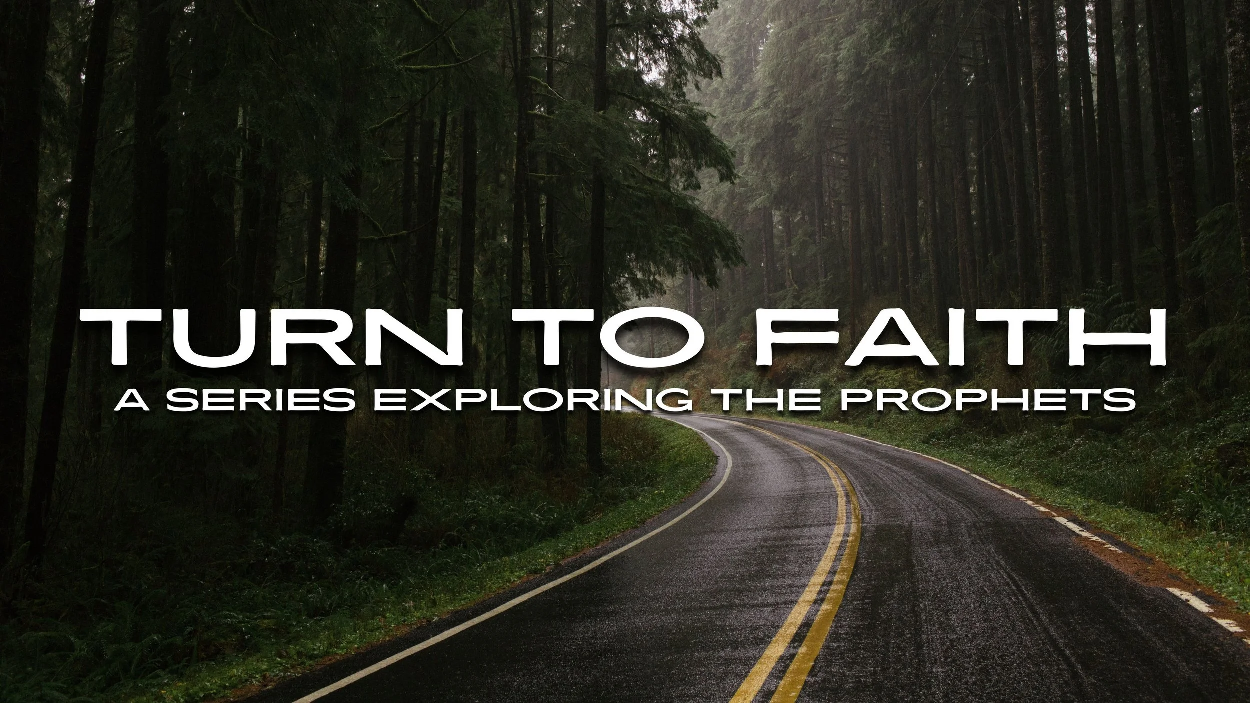 Turn To Faith - Series Guide
