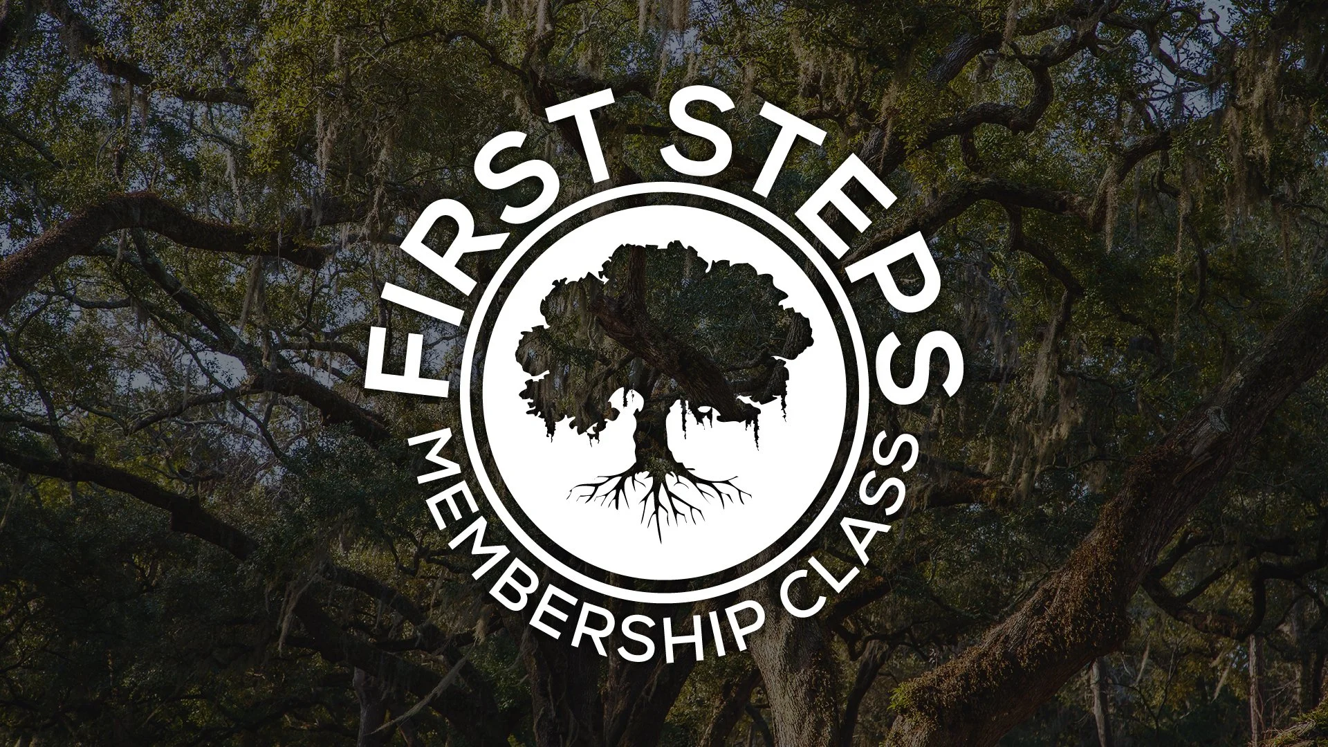 First Steps Class (June 2025)