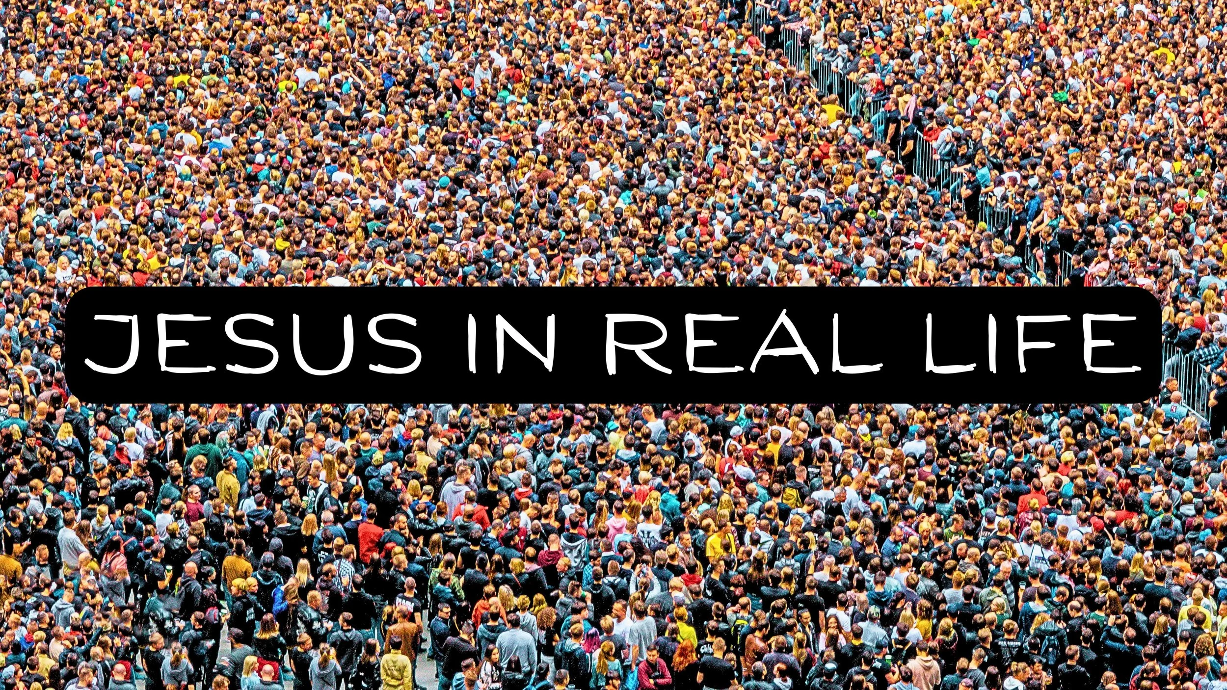 Jesus In Real Life - Series Guide