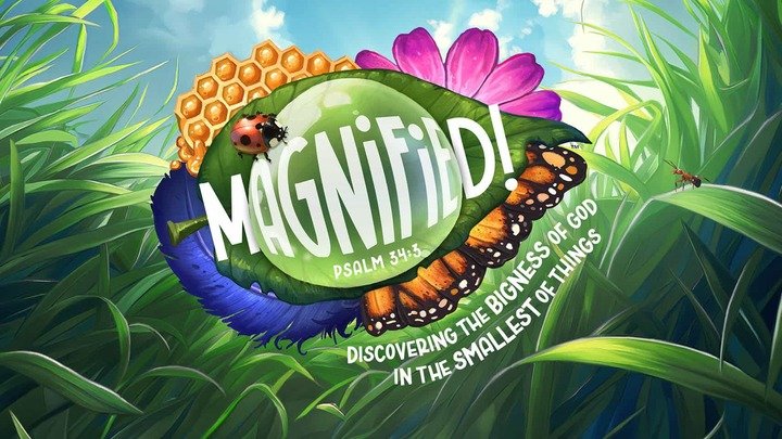 VBS 2025 (Magnified) 