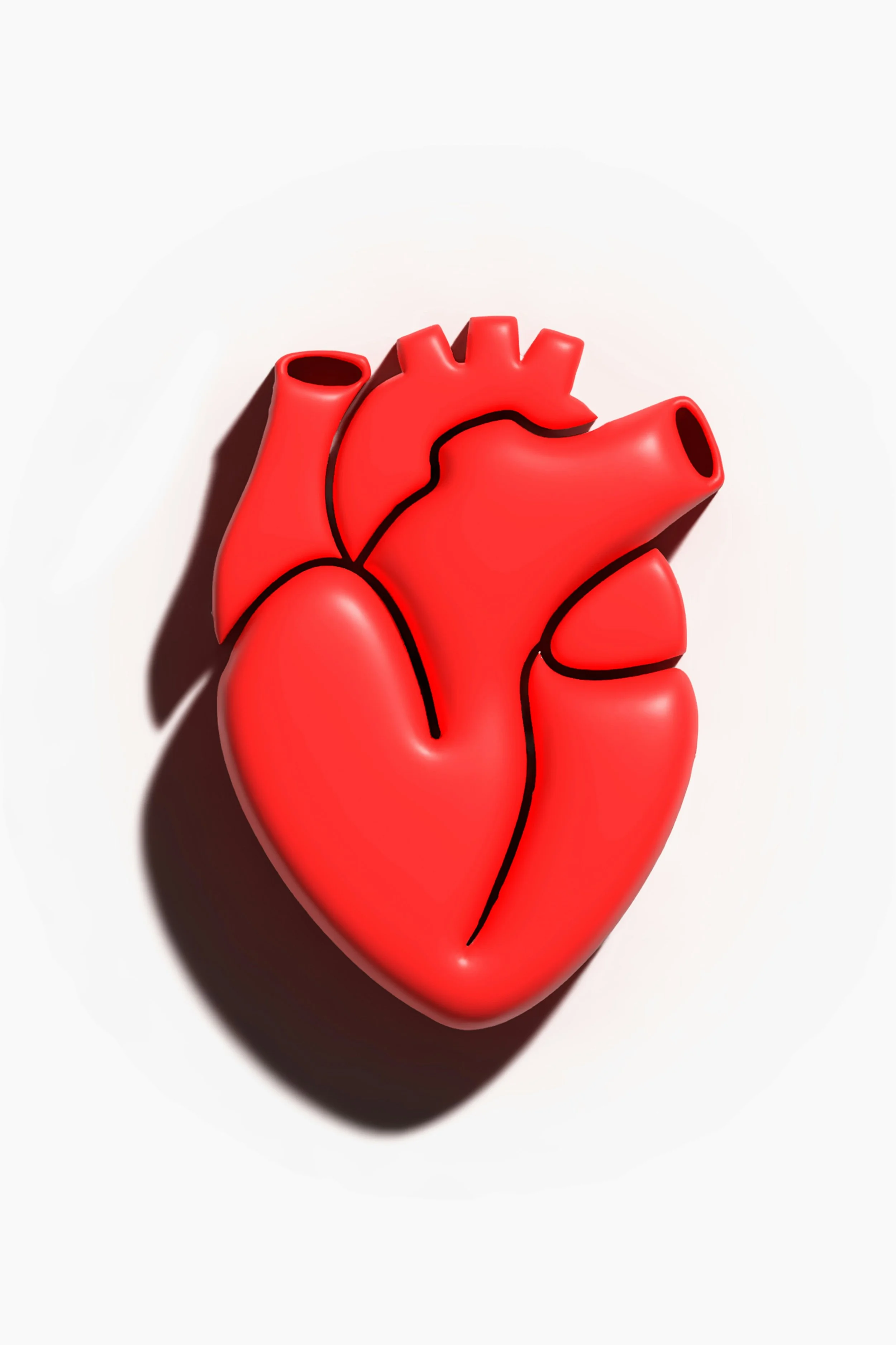 Softening Hearts in a Divided World: Esther’s Example for Today’s Conflicts