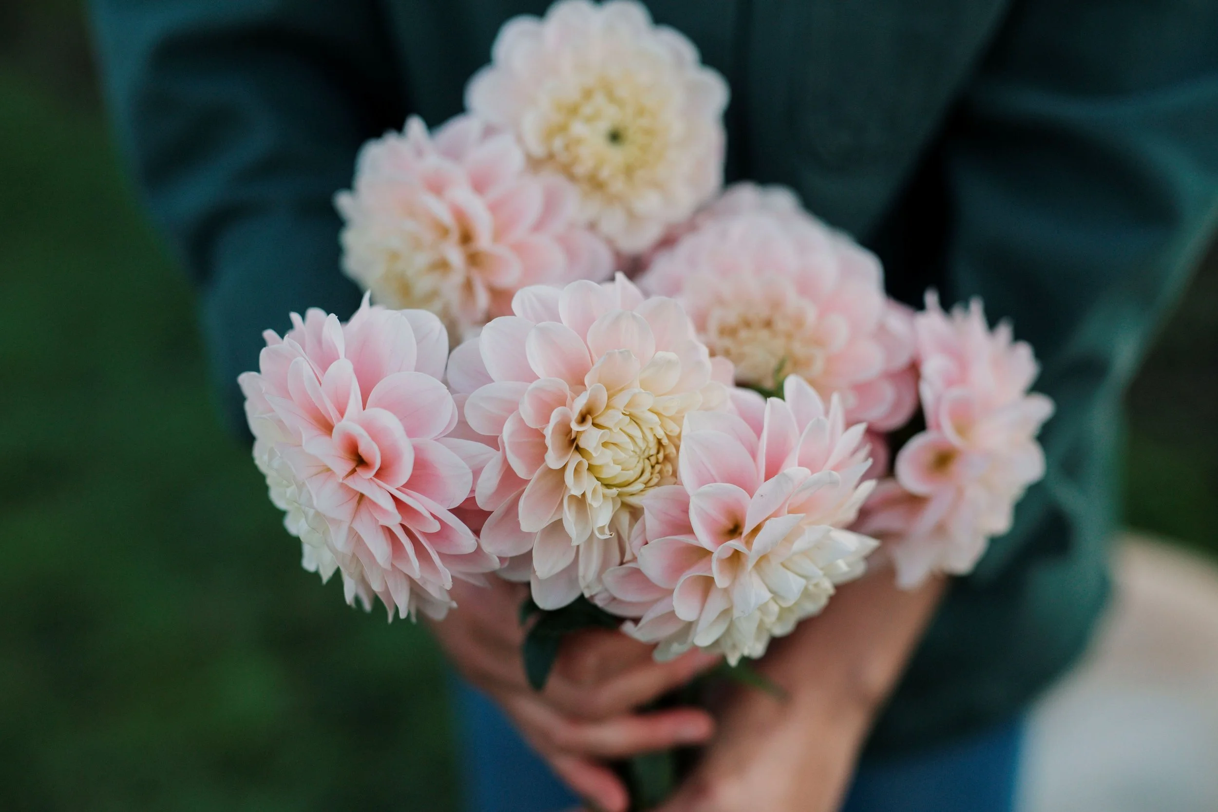 Jenny_Creek_Flowers 5.jpg