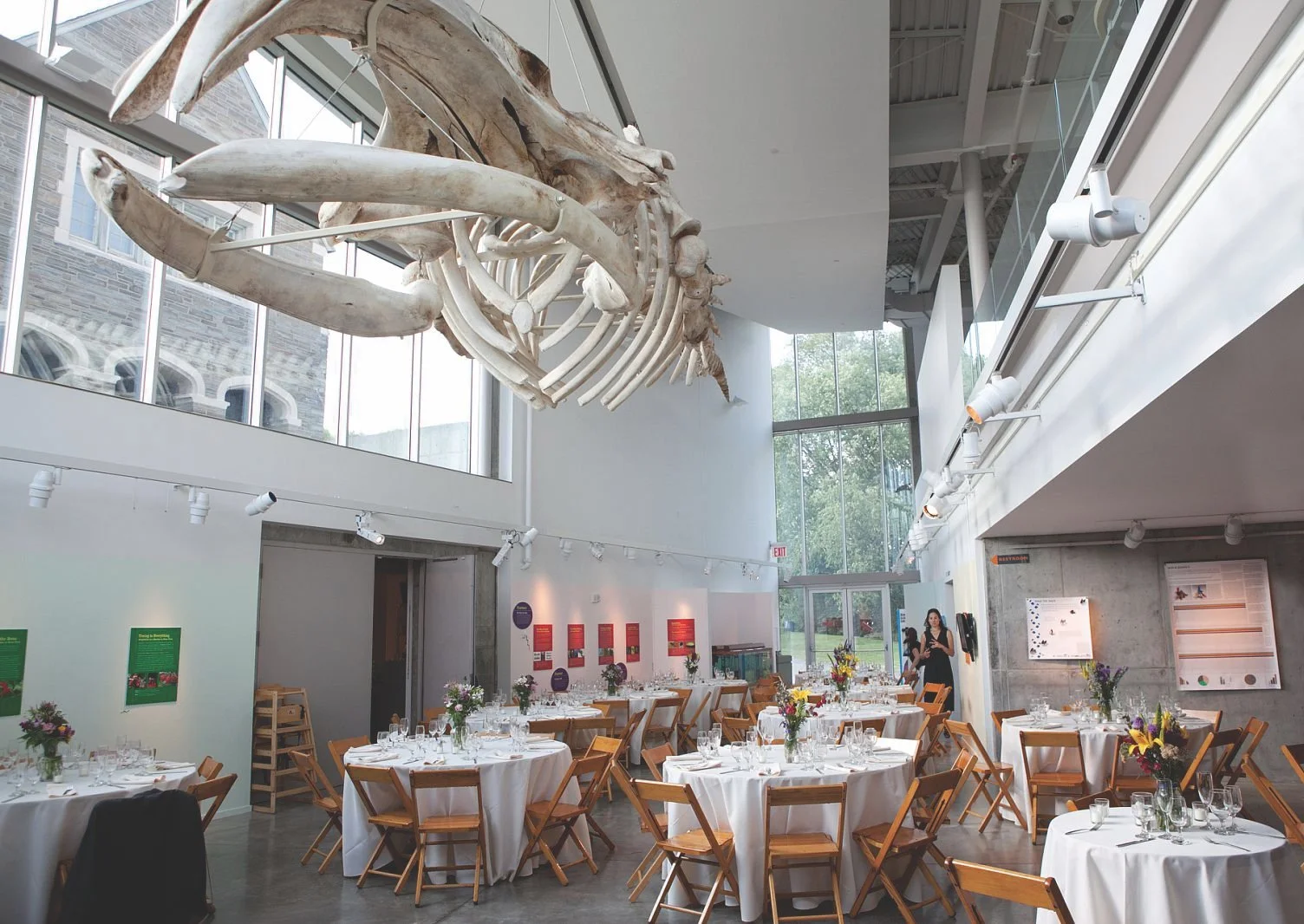 Museum of the Earth 10.jpg