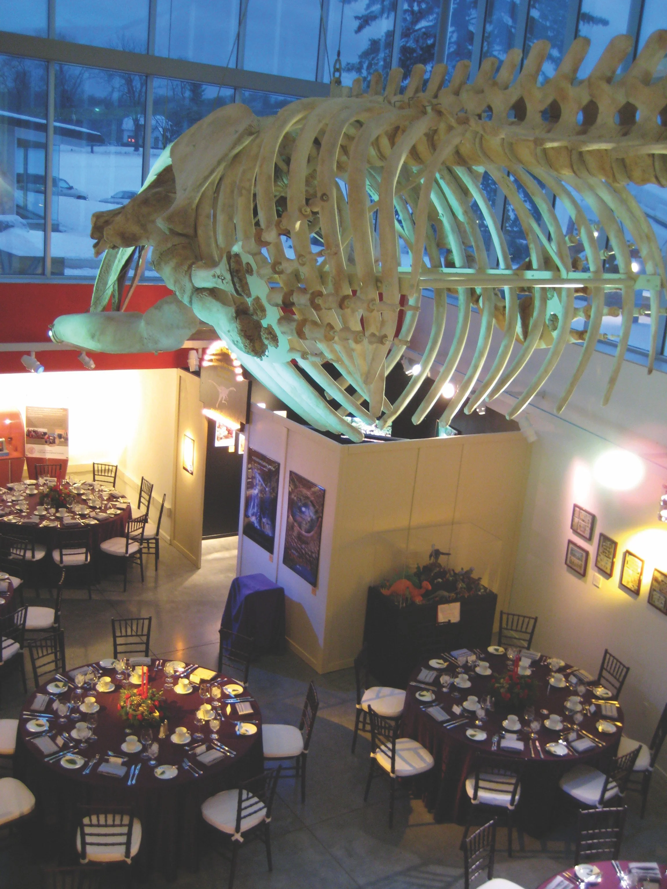 Museum of the Earth 4.jpg