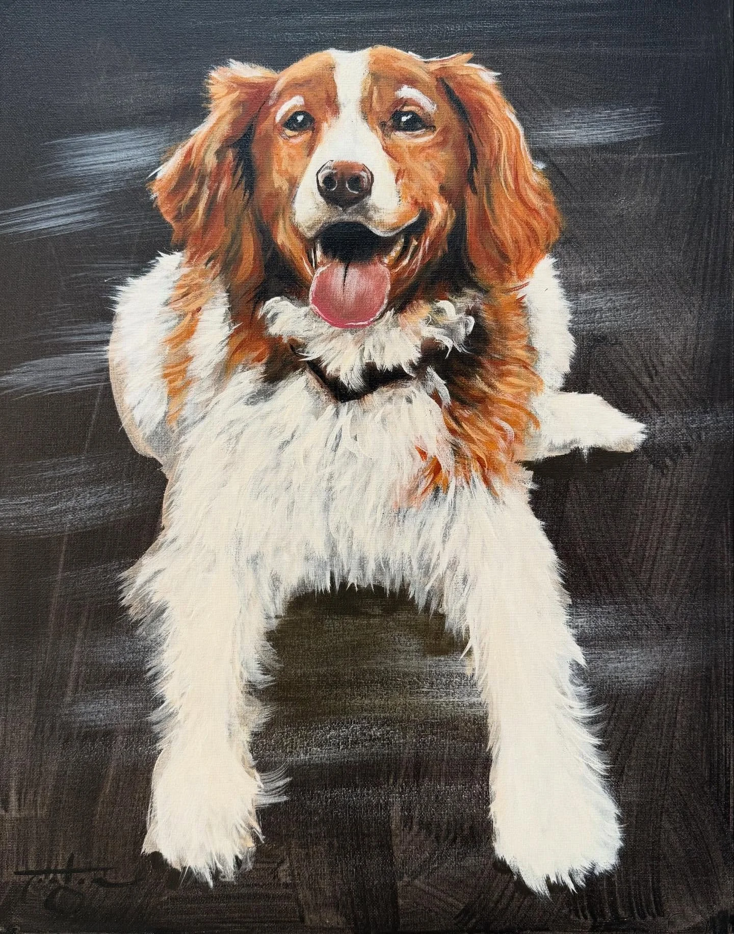 Holiday Dog Portraits!! This has been a blast my friends. I never was a dog person, I&rsquo;d only had cats throughout my life. Then when Hay and I got little Nova, all of that changed. I now love dogs, and can&rsquo;t rely get enough of them. (Cats 