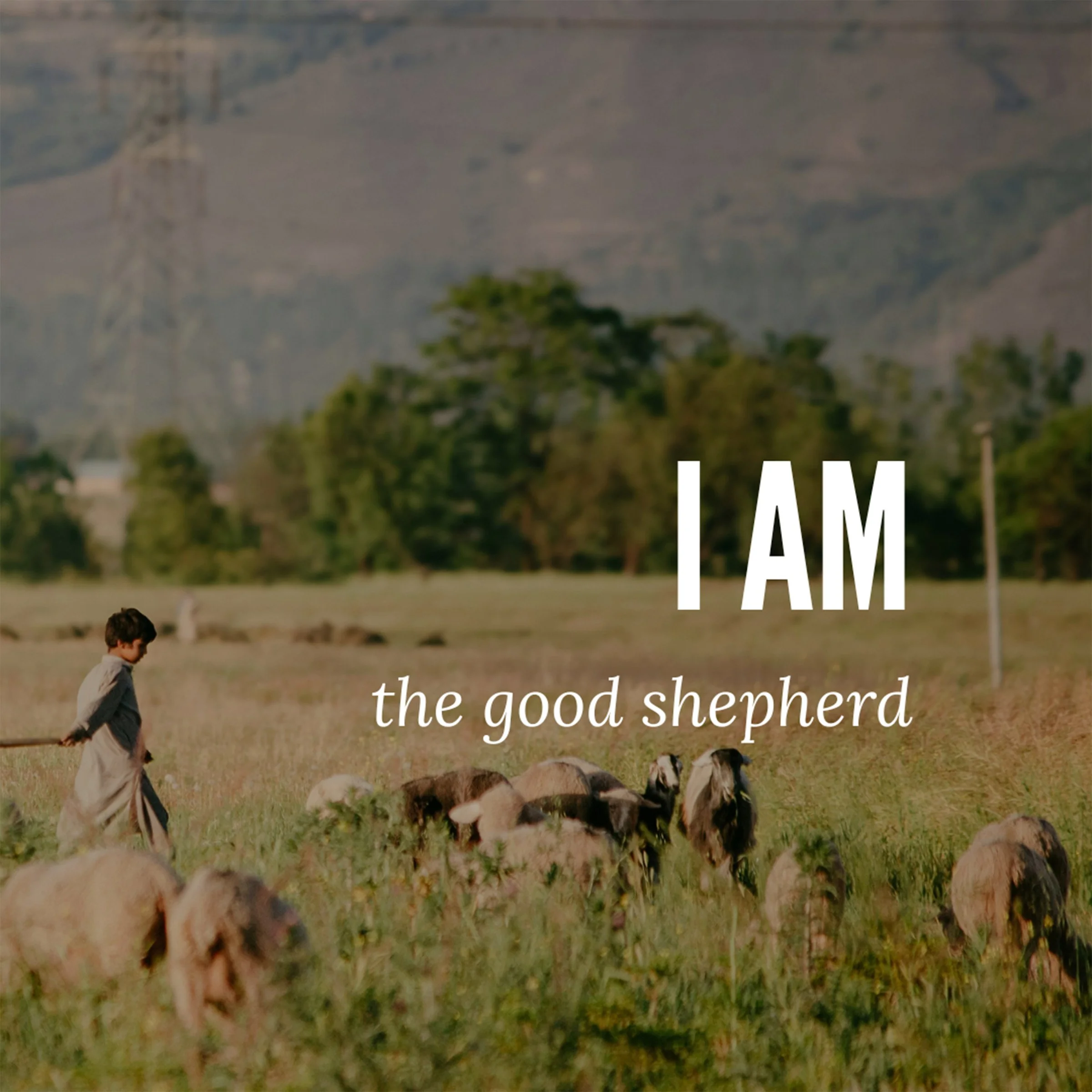 July 19 - I AM The Good Shepherd