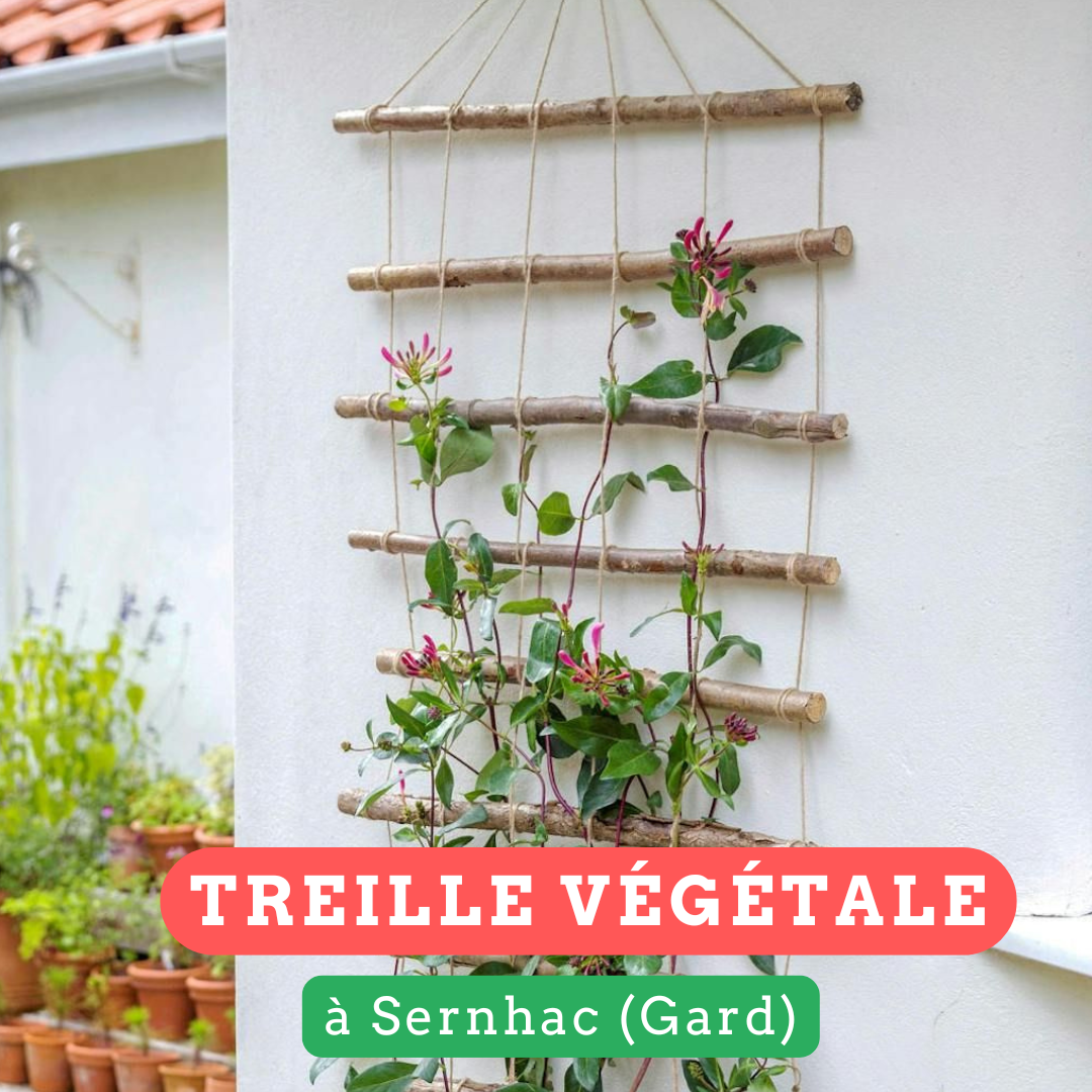 11.04 - Atelier treille végétale