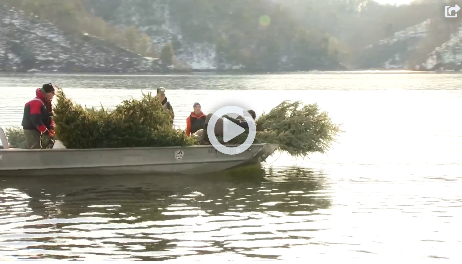 Christmas for the Fishes 2022